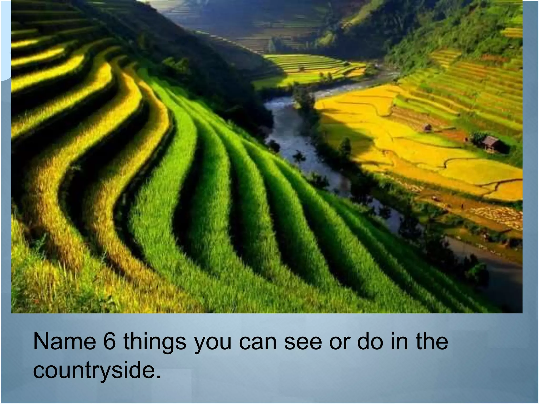 Name 6 things you can see or do in the
countryside.
 
