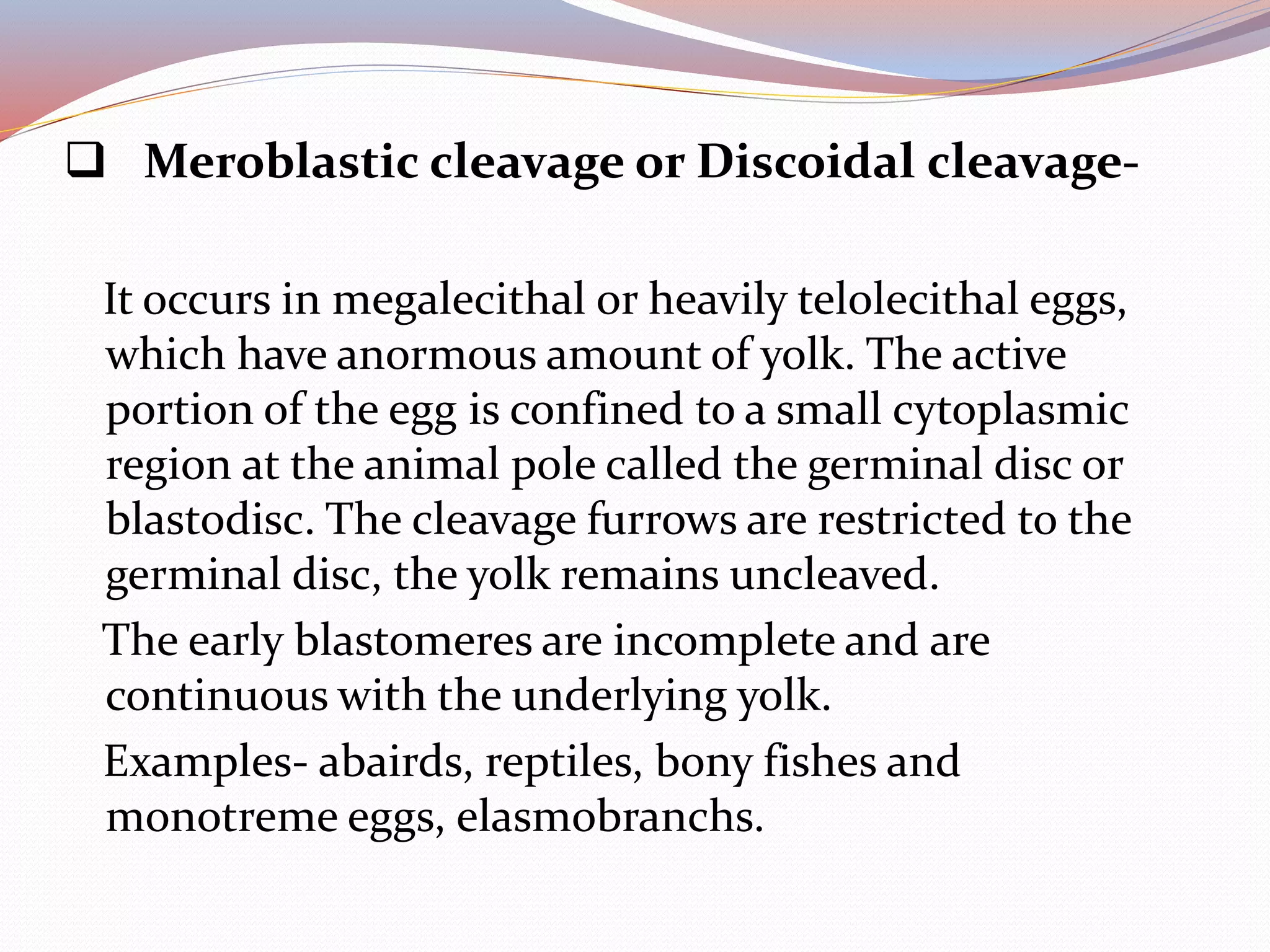  Meroblastic cleavage or Discoidal cleavage-
It occurs in megalecithal or heavily telolecithal eggs,
which have anormous amount of yolk. The active
portion of the egg is confined to a small cytoplasmic
region at the animal pole called the germinal disc or
blastodisc. The cleavage furrows are restricted to the
germinal disc, the yolk remains uncleaved.
The early blastomeres are incomplete and are
continuous with the underlying yolk.
Examples- abairds, reptiles, bony fishes and
monotreme eggs, elasmobranchs.
 