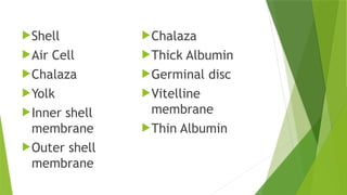 Shell
Air Cell
Chalaza
Yolk
Inner shell
membrane
Outer shell
membrane
Chalaza
Thick Albumin
Germinal disc
Vitelline
membrane
Thin Albumin
 