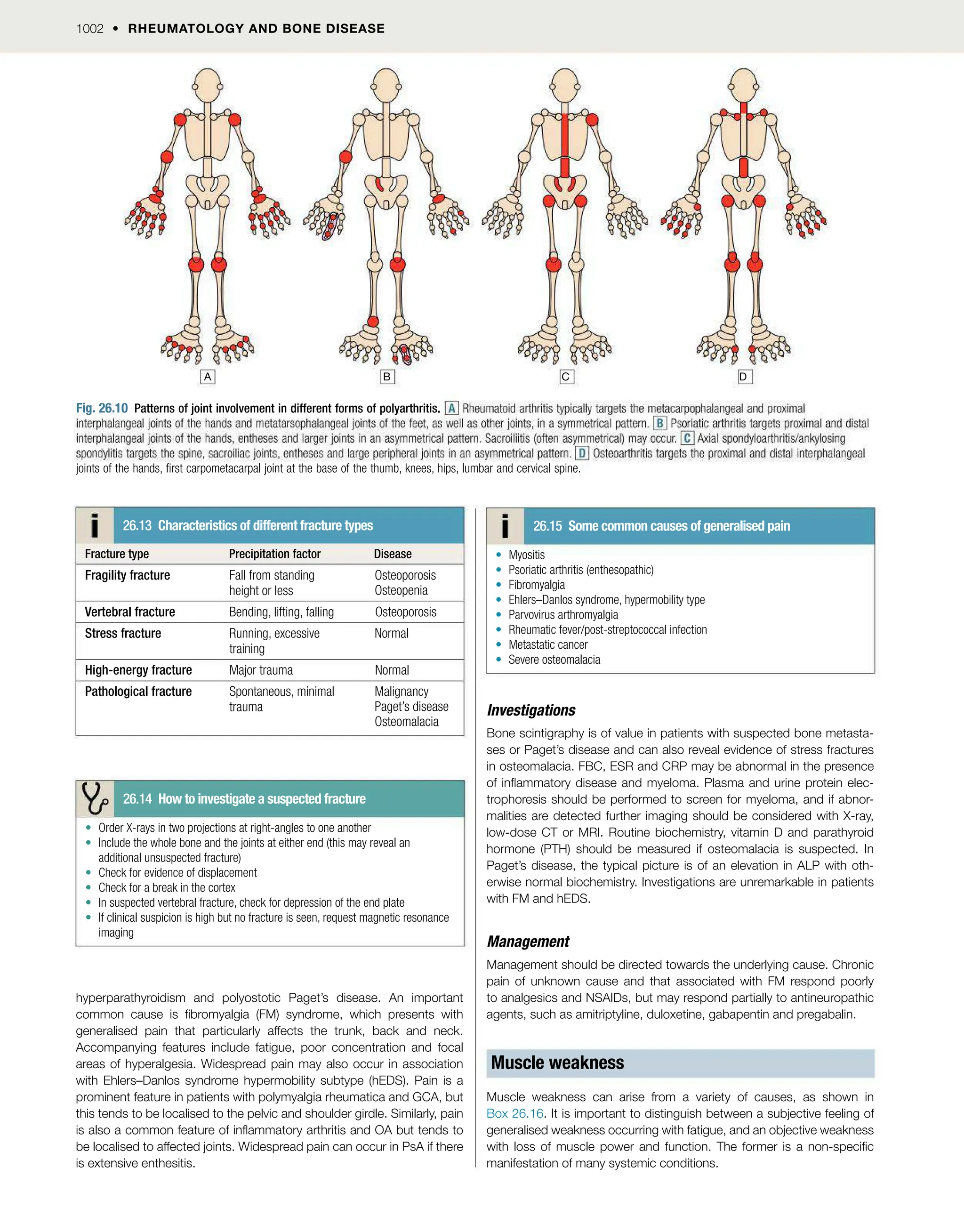 DavidsonMedicine24th.pdf for medicine 4th year