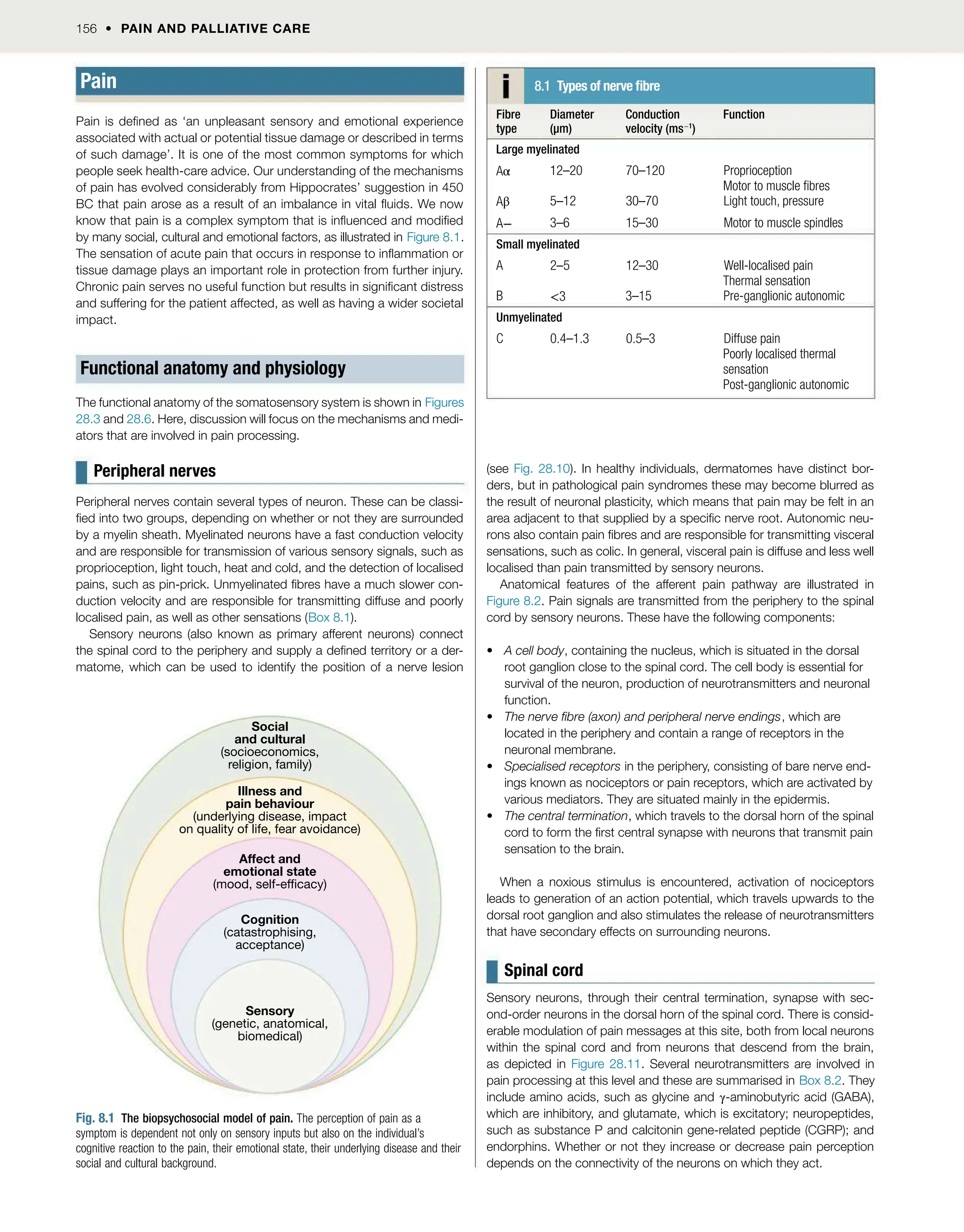 156  PAIN AND PALLIATIVE CARE
Pain
Pain is dened as ‘an unpleasant sensory and emotional experience
associated with actual or potential tissue damage or described in terms
of such damage’. It is one of the most common symptoms for which
people seek health-care advice. Our understanding of the mechanisms
of pain has evolved considerably from Hippocrates’ suggestion in 450
BC that pain arose as a result of an imbalance in vital uids. We now
know that pain is a complex symptom that is inuenced and modied
by many social, cultural and emotional factors, as illustrated in Figure 8.1.
The sensation of acute pain that occurs in response to inammation or
tissue damage plays an important role in protection from further injury.
Chronic pain serves no useful function but results in signicant distress
and suffering for the patient affected, as well as having a wider societal
impact.
Functional anatomy and physiology
The functional anatomy of the somatosensory system is shown in Figures
28.3 and 28.6. Here, discussion will focus on the mechanisms and medi-
ators that are involved in pain processing.
Peripheral nerves
Peripheral nerves contain several types of neuron. These can be classi-
ed into two groups, depending on whether or not they are surrounded
by a myelin sheath. Myelinated neurons have a fast conduction velocity
and are responsible for transmission of various sensory signals, such as
proprioception, light touch, heat and cold, and the detection of localised
pains, such as pin-prick. Unmyelinated bres have a much slower con-
duction velocity and are responsible for transmitting diffuse and poorly
localised pain, as well as other sensations (Box 8.1).
Sensory neurons (also known as primary afferent neurons) connect
the spinal cord to the periphery and supply a dened territory or a der-
matome, which can be used to identify the position of a nerve lesion
(see Fig. 28.10). In healthy individuals, dermatomes have distinct bor-
ders, but in pathological pain syndromes these may become blurred as
the result of neuronal plasticity, which means that pain may be felt in an
area adjacent to that supplied by a specic nerve root. Autonomic neu-
rons also contain pain bres and are responsible for transmitting visceral
sensations, such as colic. In general, visceral pain is diffuse and less well
localised than pain transmitted by sensory neurons.
Anatomical features of the afferent pain pathway are illustrated in
Figure 8.2. Pain signals are transmitted from the periphery to the spinal
cord by sensory neurons. These have the following components:
 A cell body, containing the nucleus, which is situated in the dorsal
root ganglion close to the spinal cord. The cell body is essential for
survival of the neuron, production of neurotransmitters and neuronal
function.
 The nerve bre (axon) and peripheral nerve endings, which are
located in the periphery and contain a range of receptors in the
neuronal membrane.
 Specialised receptors in the periphery, consisting of bare nerve end-
ings known as nociceptors or pain receptors, which are activated by
various mediators. They are situated mainly in the epidermis.
 The central termination, which travels to the dorsal horn of the spinal
cord to form the rst central synapse with neurons that transmit pain
sensation to the brain.
When a noxious stimulus is encountered, activation of nociceptors
leads to generation of an action potential, which travels upwards to the
dorsal root ganglion and also stimulates the release of neurotransmitters
that have secondary effects on surrounding neurons.
Spinal cord
Sensory neurons, through their central termination, synapse with sec-
ond-order neurons in the dorsal horn of the spinal cord. There is consid-
erable modulation of pain messages at this site, both from local neurons
within the spinal cord and from neurons that descend from the brain,
as depicted in Figure 28.11. Several neurotransmitters are involved in
pain processing at this level and these are summarised in Box 8.2. They
include amino acids, such as glycine and γ-aminobutyric acid (GABA),
which are inhibitory, and glutamate, which is excitatory; neuropeptides,
such as substance P and calcitonin gene-related peptide (CGRP); and
endorphins. Whether or not they increase or decrease pain perception
depends on the connectivity of the neurons on which they act.
Illness and
pain behaviour
(underlying disease, impact
on quality of life, fear avoidance)
Social
and cultural
(socioeconomics,
religion, family)
Affect and
emotional state
(mood, self-efficacy)
Cognition
(catastrophising,
acceptance)
Sensory
(genetic, anatomical,
biomedical)
Fig. 8.1 The biopsychosocial model of pain. The perception of pain as a
symptom is dependent not only on sensory inputs but also on the individual’s
cognitive reaction to the pain, their emotional state, their underlying disease and their
social and cultural background.
8.1 Types of nerve bre
Fibre
type
Diameter
(µm)
Conduction
velocity (ms 1
)
Function
Large myelinated
Aα 12–20 70–120 Proprioception
Motor to muscle bres
Aβ 5–12 30–70 Light touch, pressure
A 3–6 15–30 Motor to muscle spindles
Small myelinated
A 2–5 12–30 Well-localised pain
Thermal sensation
B <3 3–15 Pre-ganglionic autonomic
Unmyelinated
C 0.4–1.3 0.5–3 Diffuse pain
Poorly localised thermal
sensation
Post-ganglionic autonomic
 