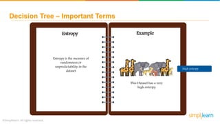 Decision Tree – Important Terms
Entropy Example
Entropy is the measure of
randomness or
unpredictability in the
dataset
This Dataset has a very
high entropy
High entropy
 