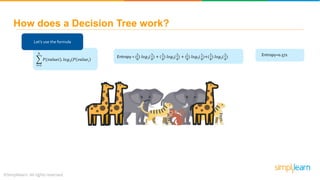 How does a Decision Tree work?
𝑖=1
𝑘
𝑃(𝑣𝑎𝑙𝑢𝑒𝑖). 𝑙𝑜𝑔2(𝑃 𝑣𝑎𝑙𝑢𝑒𝑖
Let’s use the formula
Entropy = (
3
8
) 𝑙𝑜𝑔2(
3
8
) + (
2
8
) 𝑙𝑜𝑔2(
2
8
) + (
1
8
) 𝑙𝑜𝑔2(
1
8
)+(
2
8
) 𝑙𝑜𝑔2(
2
8
) Entropy=0.571
 