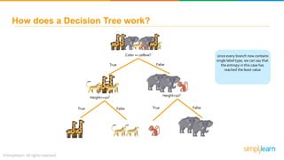 since every branch now contains
single label type, we can say that
the entropy in this case has
reached the least value
How does a Decision Tree work?
Color == yellow?
True False
Height>=10? Height<10?
True TrueFalse False
 