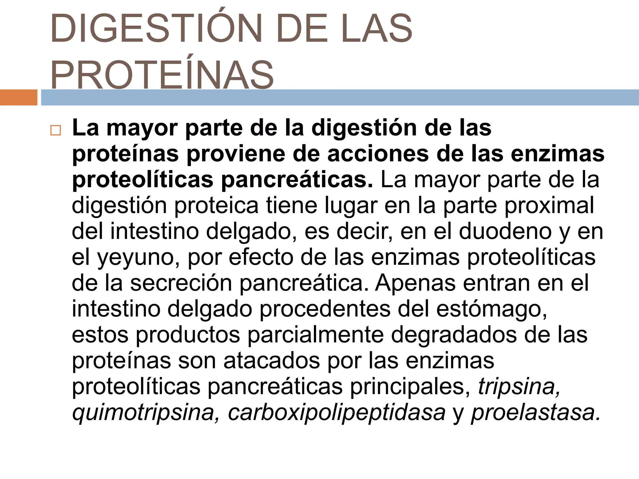 DIGESTIÓN DE LAS
PROTEÍNAS
 La mayor parte de la digestión de las
proteínas proviene de acciones de las enzimas
proteolíticas pancreáticas. La mayor parte de la
digestión proteica tiene lugar en la parte proximal
del intestino delgado, es decir, en el duodeno y en
el yeyuno, por efecto de las enzimas proteolíticas
de la secreción pancreática. Apenas entran en el
intestino delgado procedentes del estómago,
estos productos parcialmente degradados de las
proteínas son atacados por las enzimas
proteolíticas pancreáticas principales, tripsina,
quimotripsina, carboxipolipeptidasa y proelastasa.
 