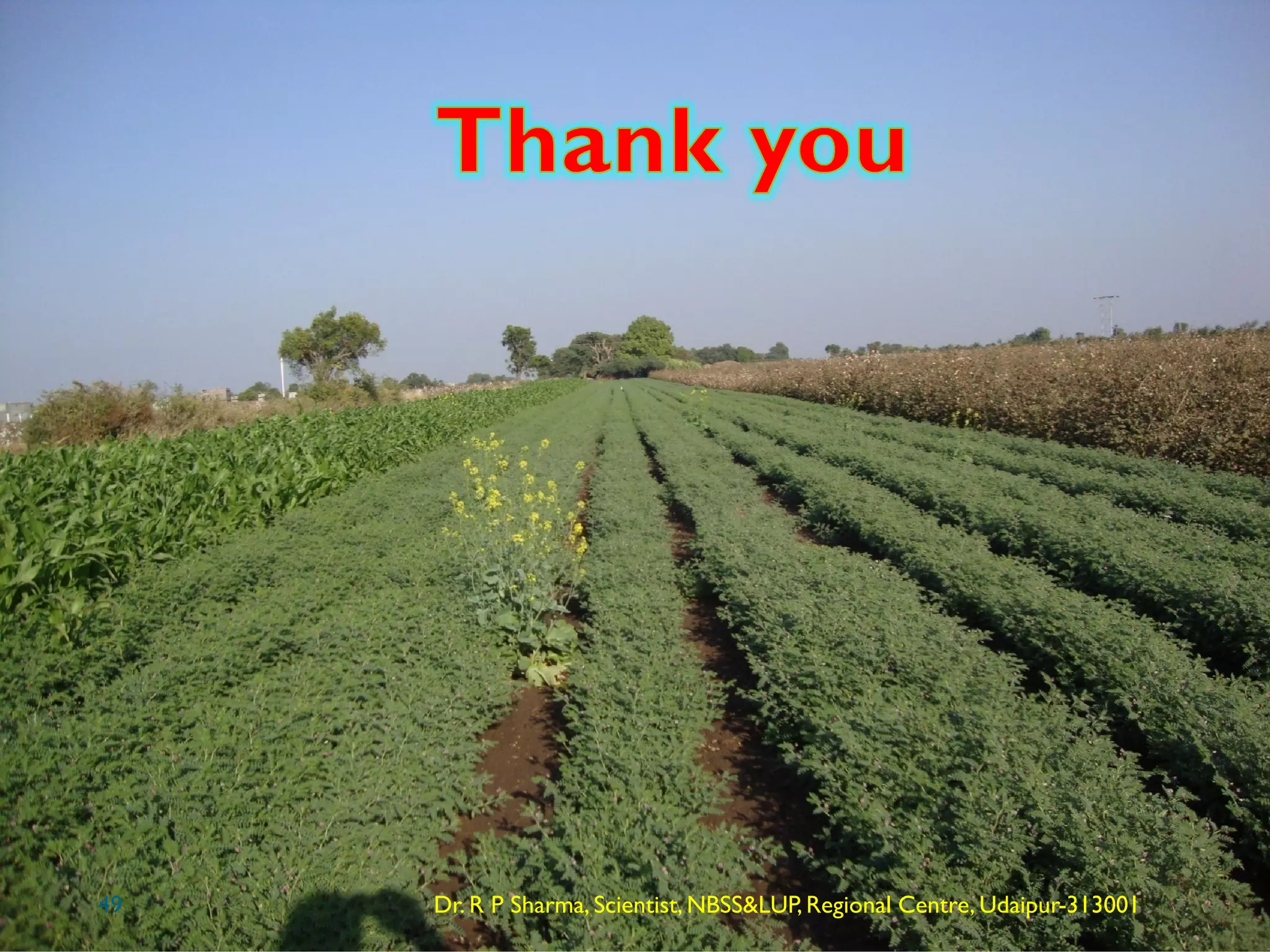 Dr. R P Sharma, Scientist, NBSS&LUP,Regional Centre, Udaipur-31300149
 