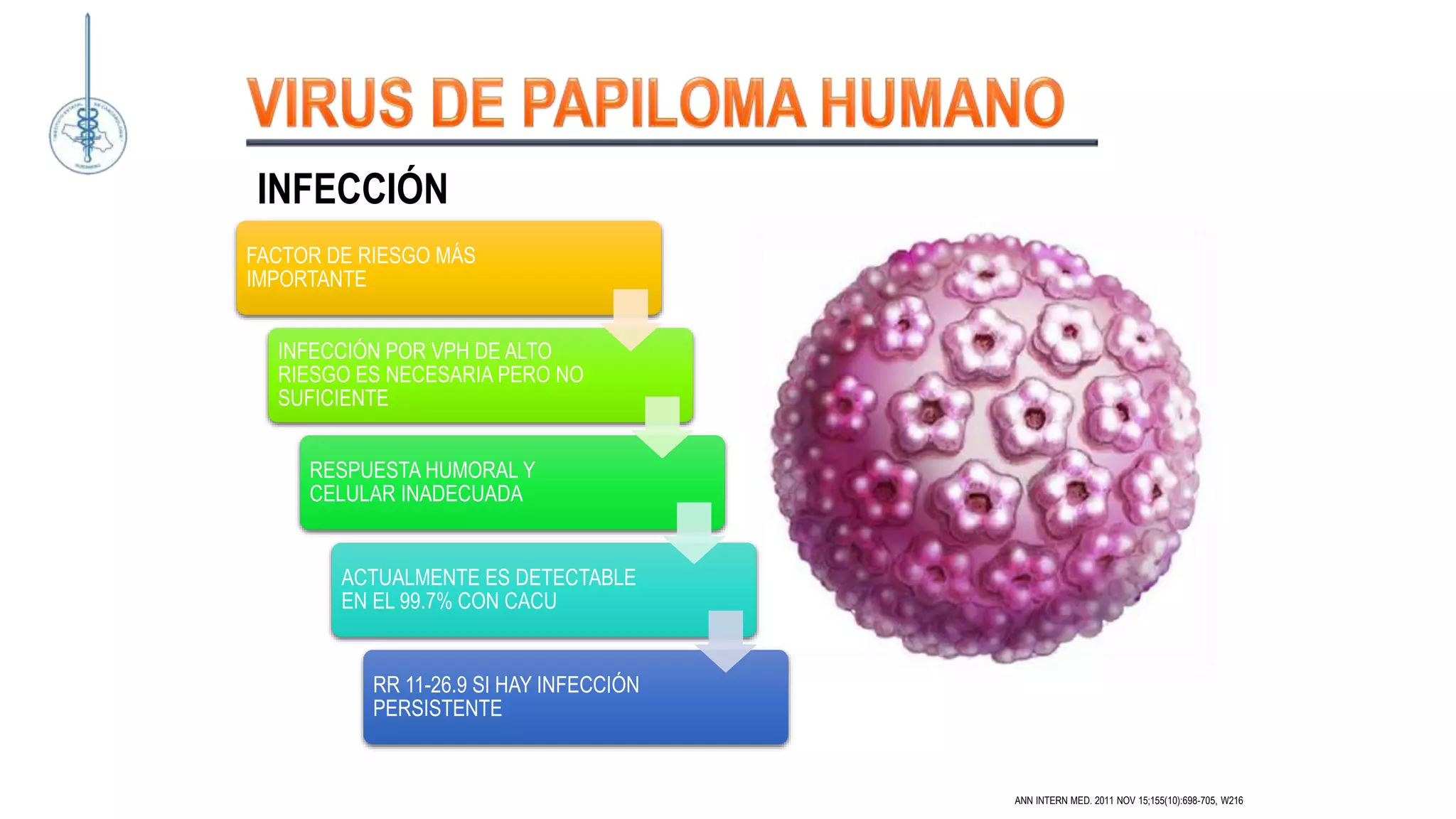 FACTOR DE RIESGO MÁS
IMPORTANTE
INFECCIÓN POR VPH DE ALTO
RIESGO ES NECESARIA PERO NO
SUFICIENTE
RESPUESTA HUMORAL Y
CELULAR INADECUADA
ACTUALMENTE ES DETECTABLE
EN EL 99.7% CON CACU
RR 11-26.9 SI HAY INFECCIÓN
PERSISTENTE
ANN INTERN MED. 2011 NOV 15;155(10):698-705, W216
INFECCIÓN
 