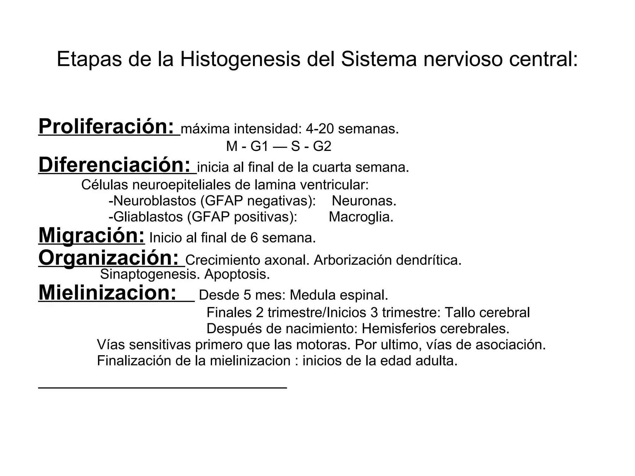 Etapas de la Histogenesis del Sistema nervioso central: Proliferación:  máxima intensidad: 4-20 semanas. M - G1 — S - G2 Diferenciación:  inicia al final de la cuarta semana. Células neuroepiteliales de lamina ventricular: -Neuroblastos (GFAP negativas):  Neuronas.  -Gliablastos (GFAP positivas):  Macroglia. Migración:  Inicio al final de 6 semana. Organización:  Crecimiento axonal. Arborización dendrítica.  Sinaptogenesis. Apoptosis. Mielinizacion:  Desde 5 mes: Medula espinal. Finales 2 trimestre/Inicios 3 trimestre: Tallo cerebral Después de nacimiento: Hemisferios cerebrales. Vías sensitivas primero que las motoras. Por ultimo, vías de asociación. Finalización de la mielinizacion : inicios de la edad adulta. 