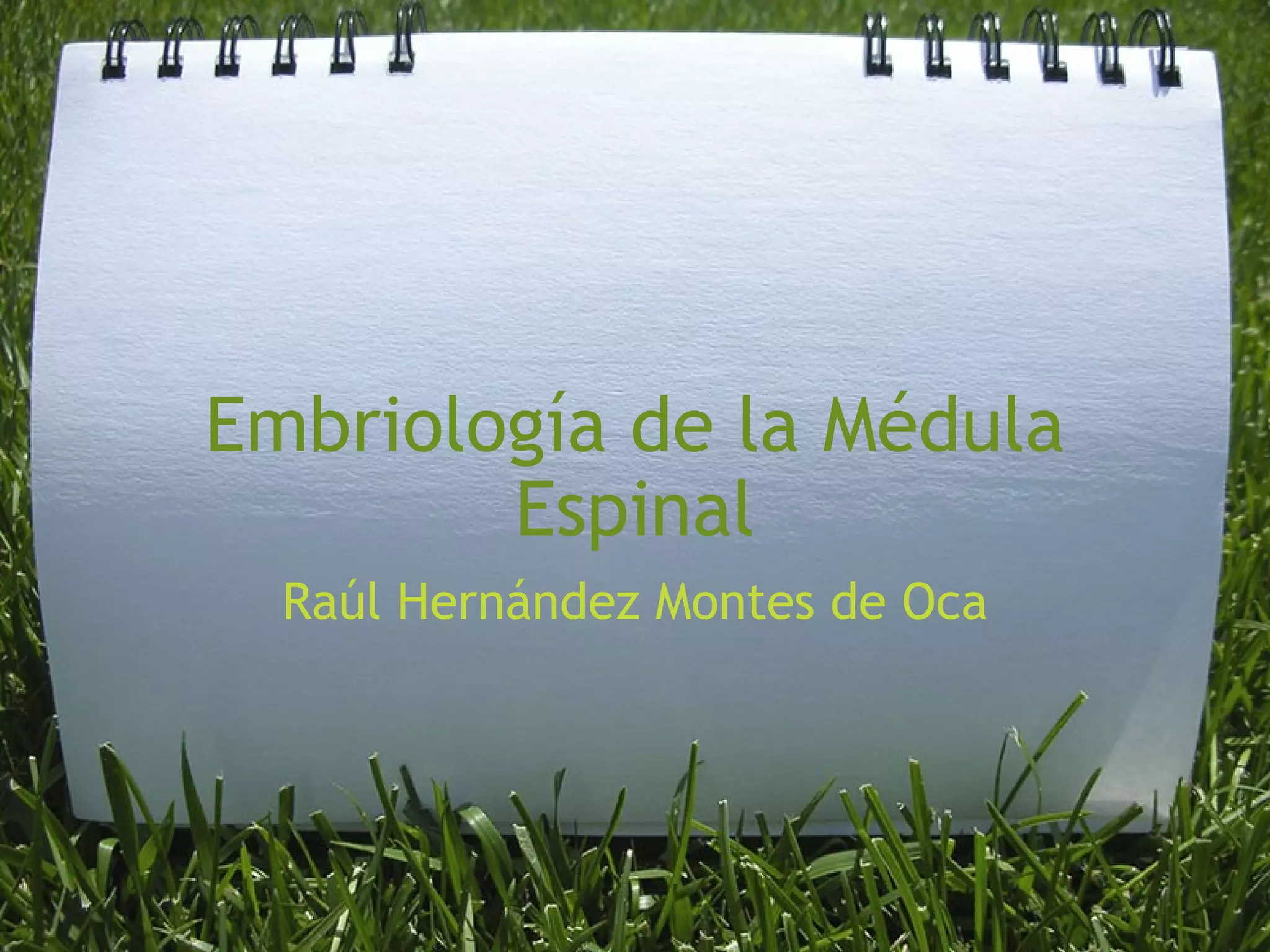 Embriología de la Médula Espinal Raúl Hernández Montes de Oca