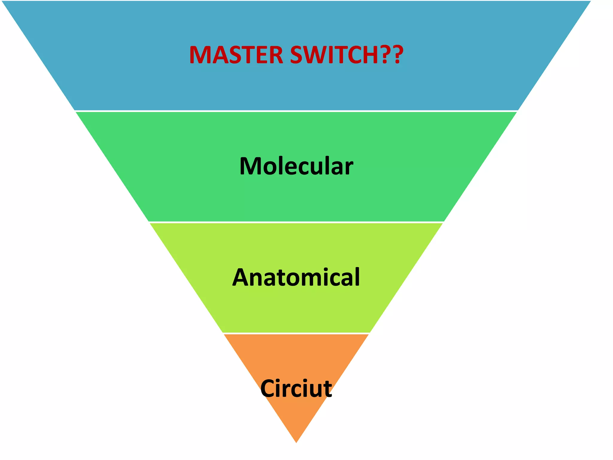 MASTER SWITCH??
Molecular
Anatomical
Circiut
 