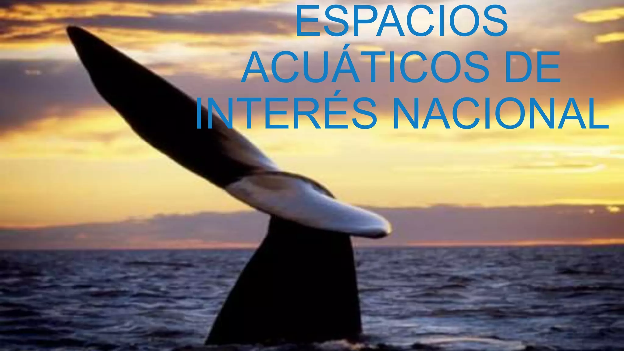 ESPACIOS
ACUÁTICOS DE
INTERÉS NACIONAL
 