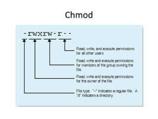 Chmod
 