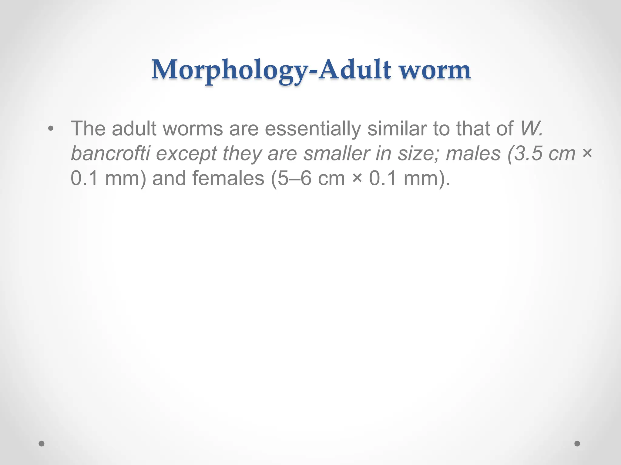 Morphology-Adult worm
• The adult worms are essentially similar to that of W.
bancrofti except they are smaller in size; males (3.5 cm ×
0.1 mm) and females (5–6 cm × 0.1 mm).
 