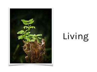 Living
 