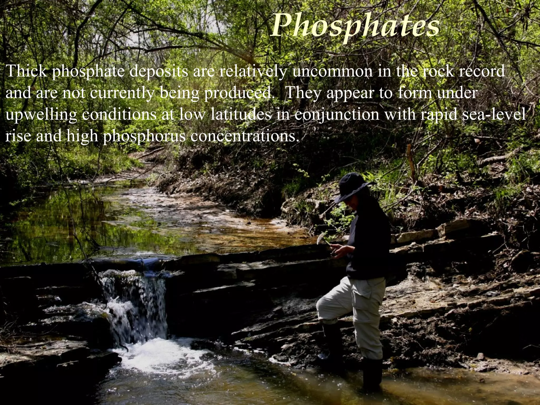 Thick phosphate deposits are relatively uncommon in the rock record
and are not currently being produced. They appear to form under
upwelling conditions at low latitudes in conjunction with rapid sea-level
rise and high phosphorus concentrations.
Phosphates
 
