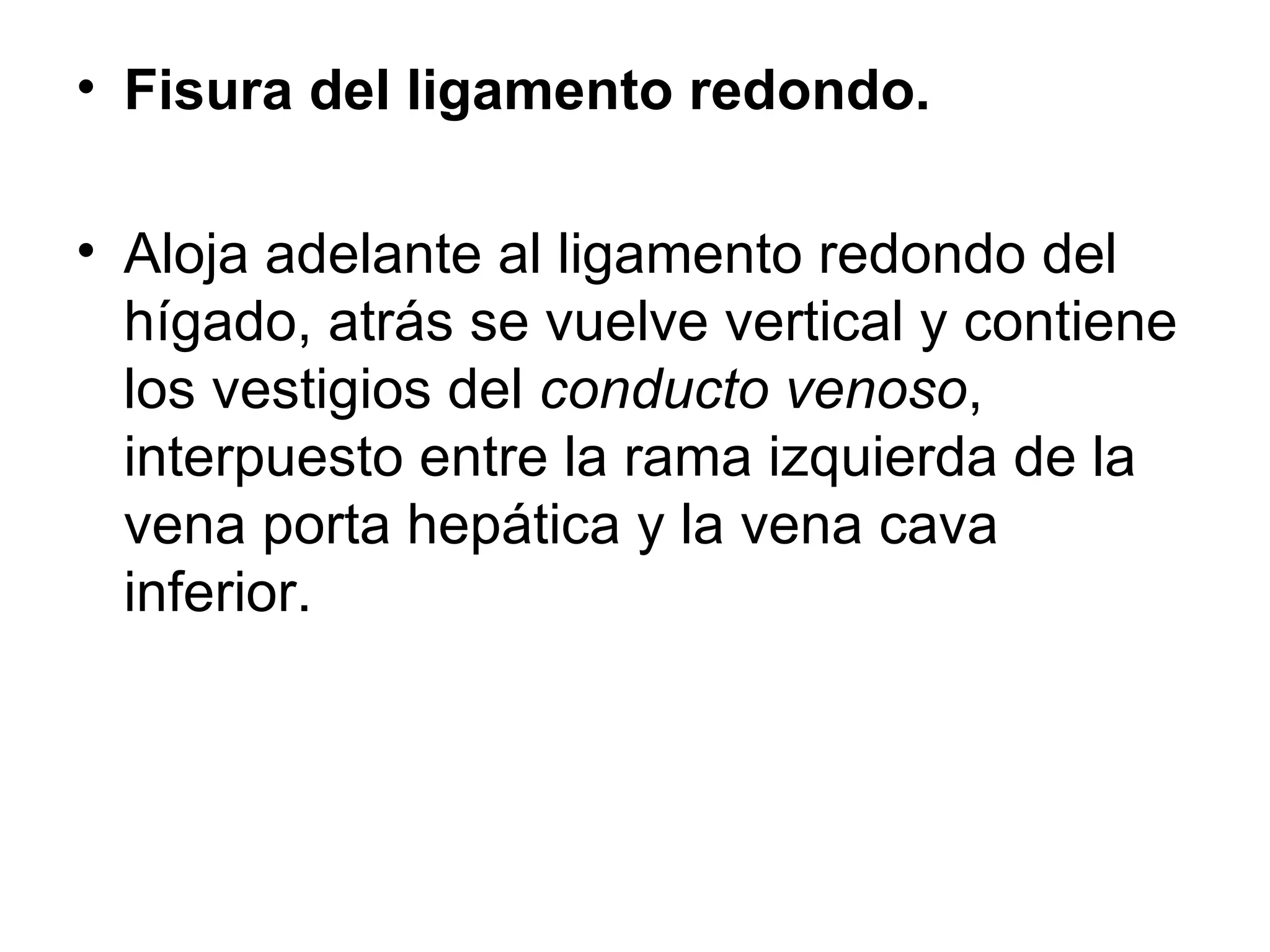 • Fisura del ligamento redondo.

• Aloja adelante al ligamento redondo del
  hígado, atrás se vuelve vertical y contiene
  los vestigios del conducto venoso,
  interpuesto entre la rama izquierda de la
  vena porta hepática y la vena cava
  inferior.
 