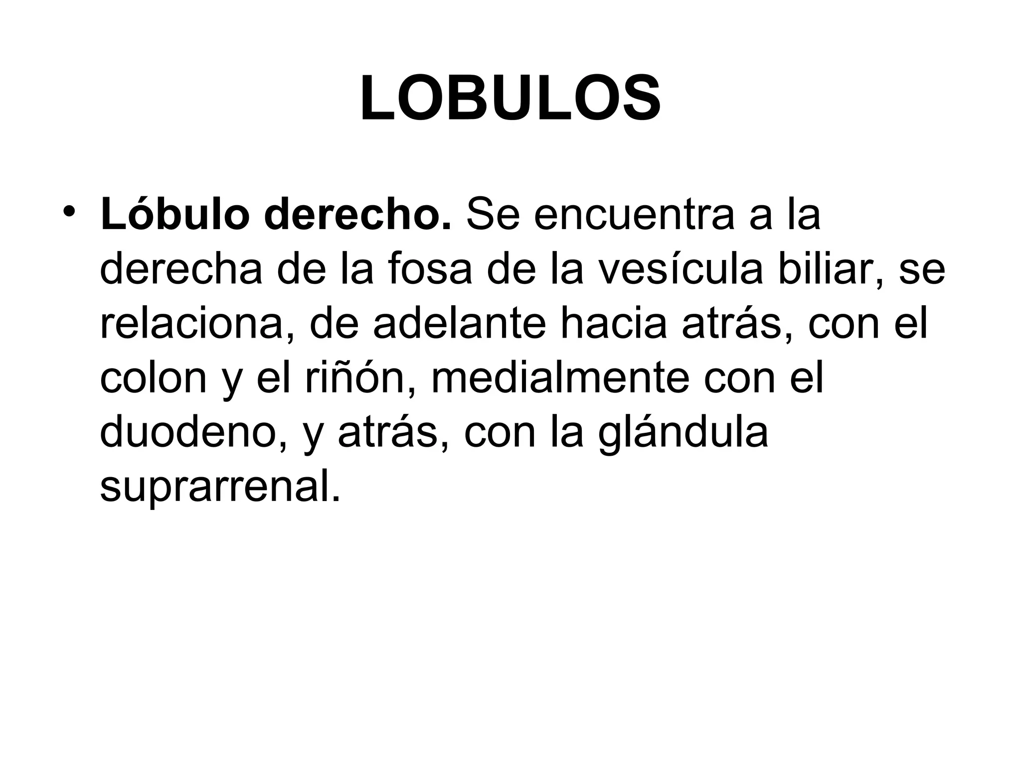 LOBULOS
• Lóbulo derecho. Se encuentra a la
  derecha de la fosa de la vesícula biliar, se
  relaciona, de adelante hacia atrás, con el
  colon y el riñón, medialmente con el
  duodeno, y atrás, con la glándula
  suprarrenal.
 