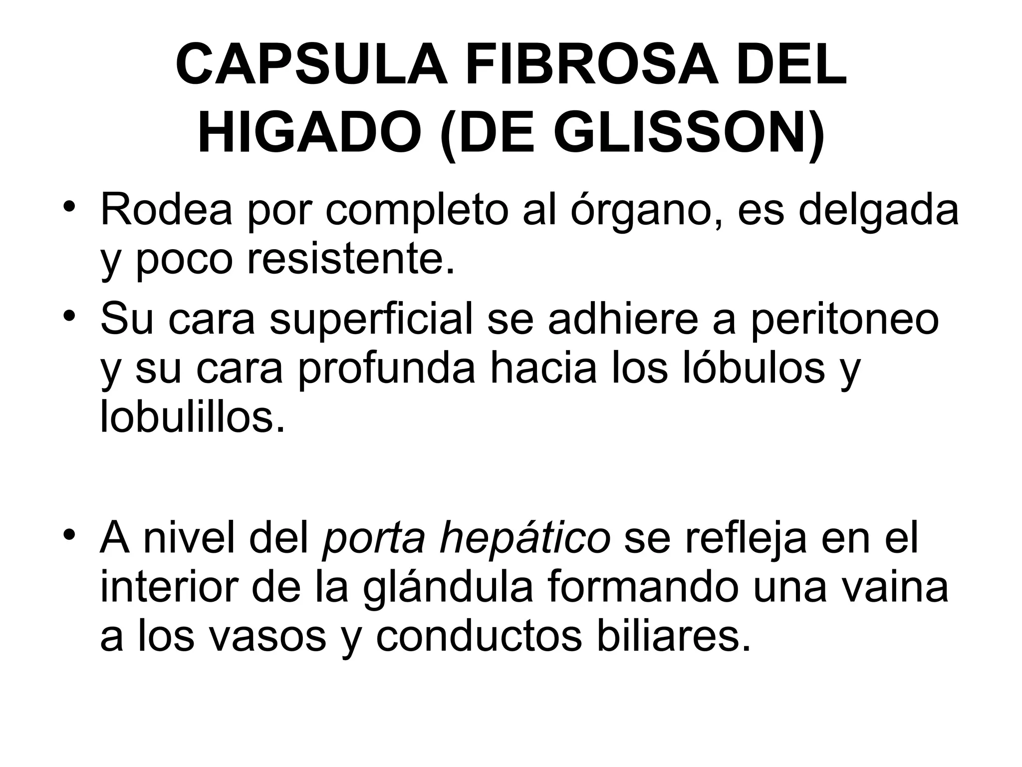 CAPSULA FIBROSA DEL
      HIGADO (DE GLISSON)
• Rodea por completo al órgano, es delgada
  y poco resistente.
• Su cara superficial se adhiere a peritoneo
  y su cara profunda hacia los lóbulos y
  lobulillos.

• A nivel del porta hepático se refleja en el
  interior de la glándula formando una vaina
  a los vasos y conductos biliares.
 