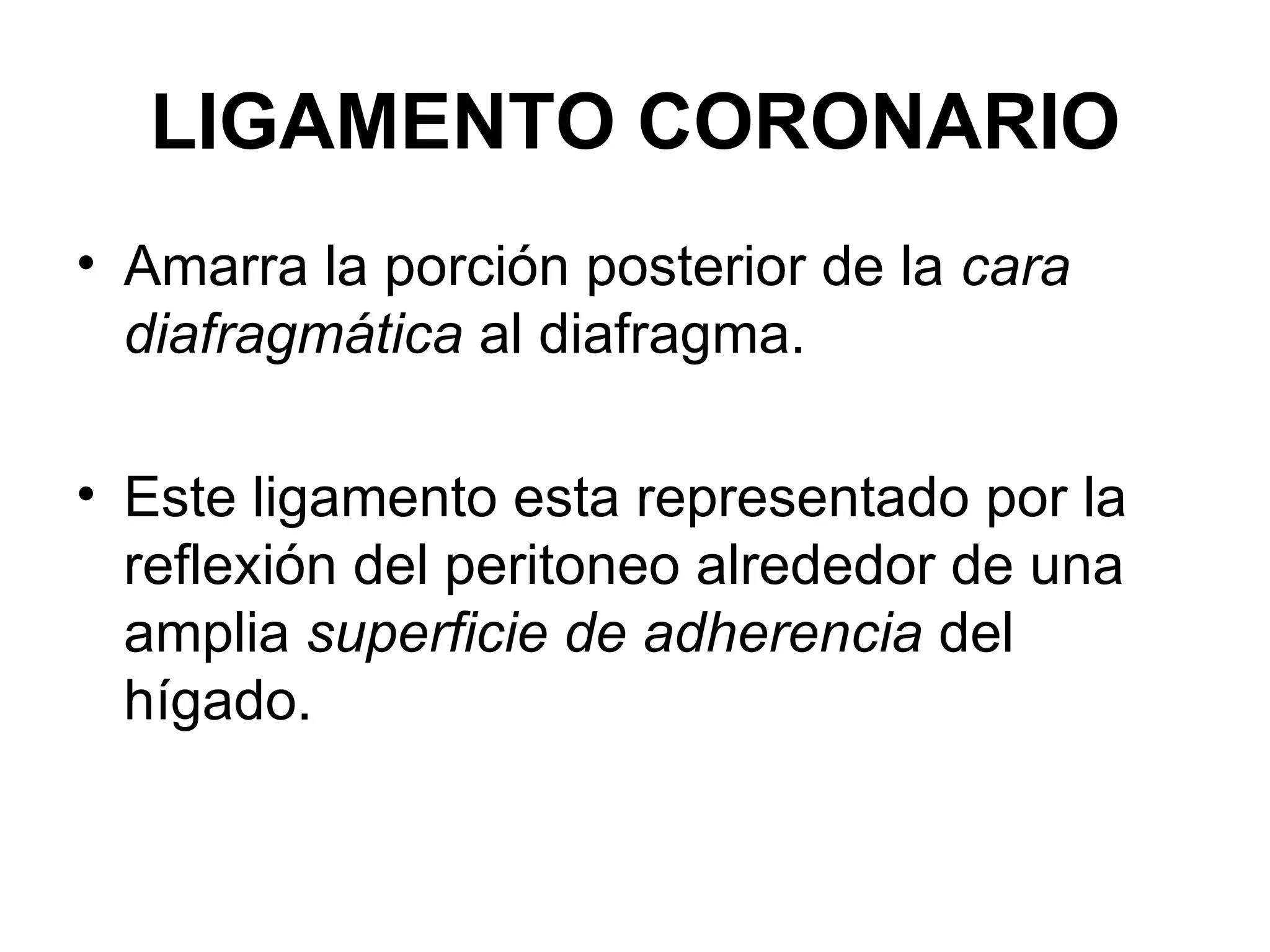 LIGAMENTO CORONARIO
• Amarra la porción posterior de la cara
  diafragmática al diafragma.

• Este ligamento esta representado por la
  reflexión del peritoneo alrededor de una
  amplia superficie de adherencia del
  hígado.
 