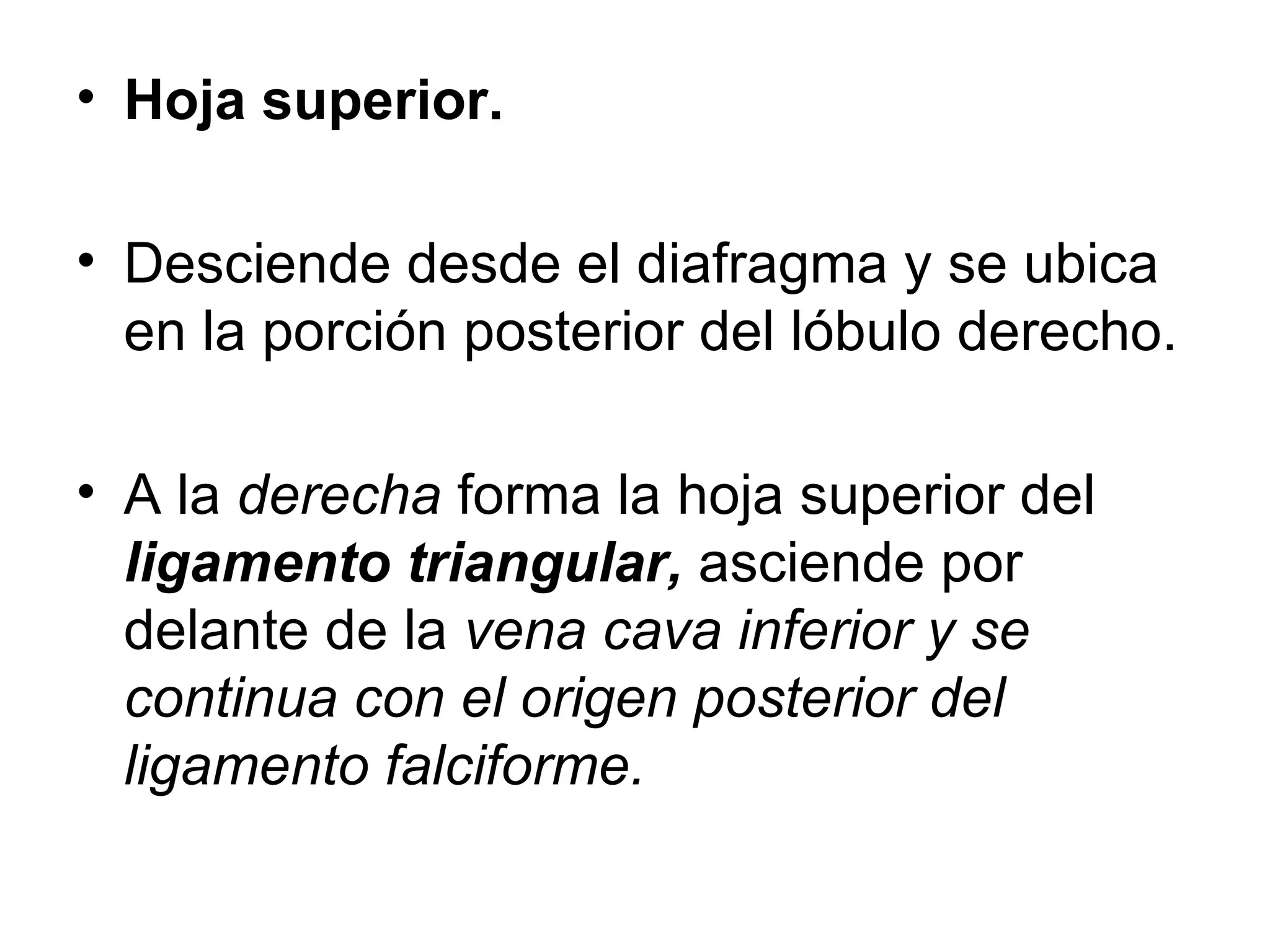 • Hoja superior.

• Desciende desde el diafragma y se ubica
  en la porción posterior del lóbulo derecho.

• A la derecha forma la hoja superior del
  ligamento triangular, asciende por
  delante de la vena cava inferior y se
  continua con el origen posterior del
  ligamento falciforme.
 