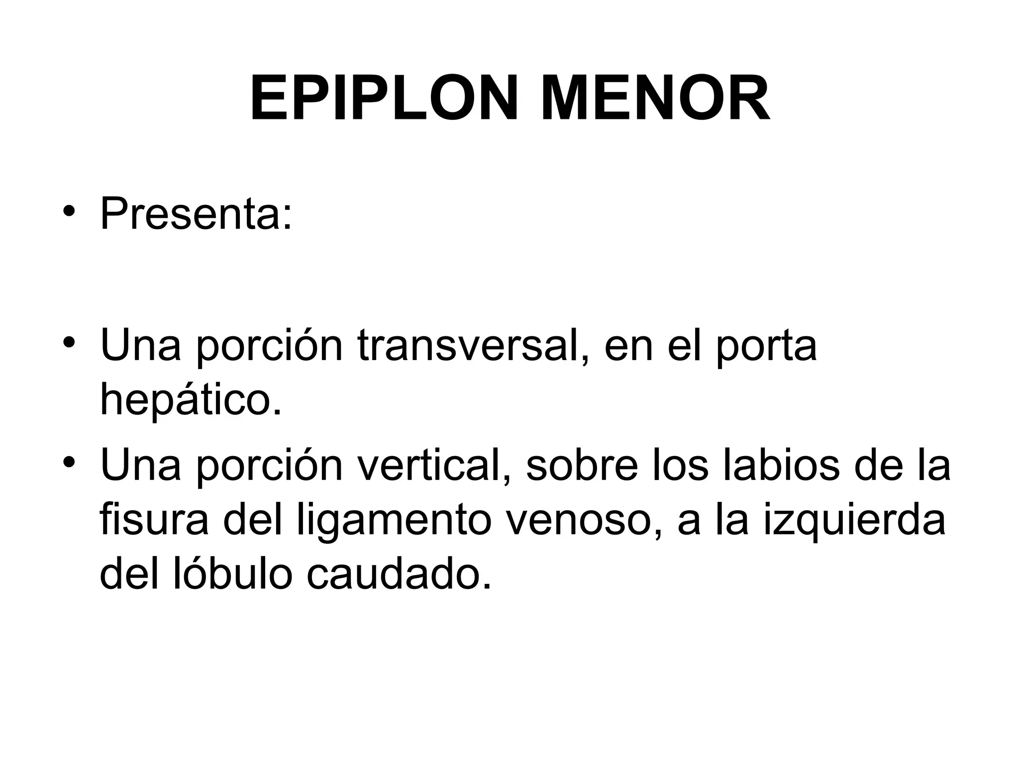 EPIPLON MENOR
• Presenta:

• Una porción transversal, en el porta
  hepático.
• Una porción vertical, sobre los labios de la
  fisura del ligamento venoso, a la izquierda
  del lóbulo caudado.
 