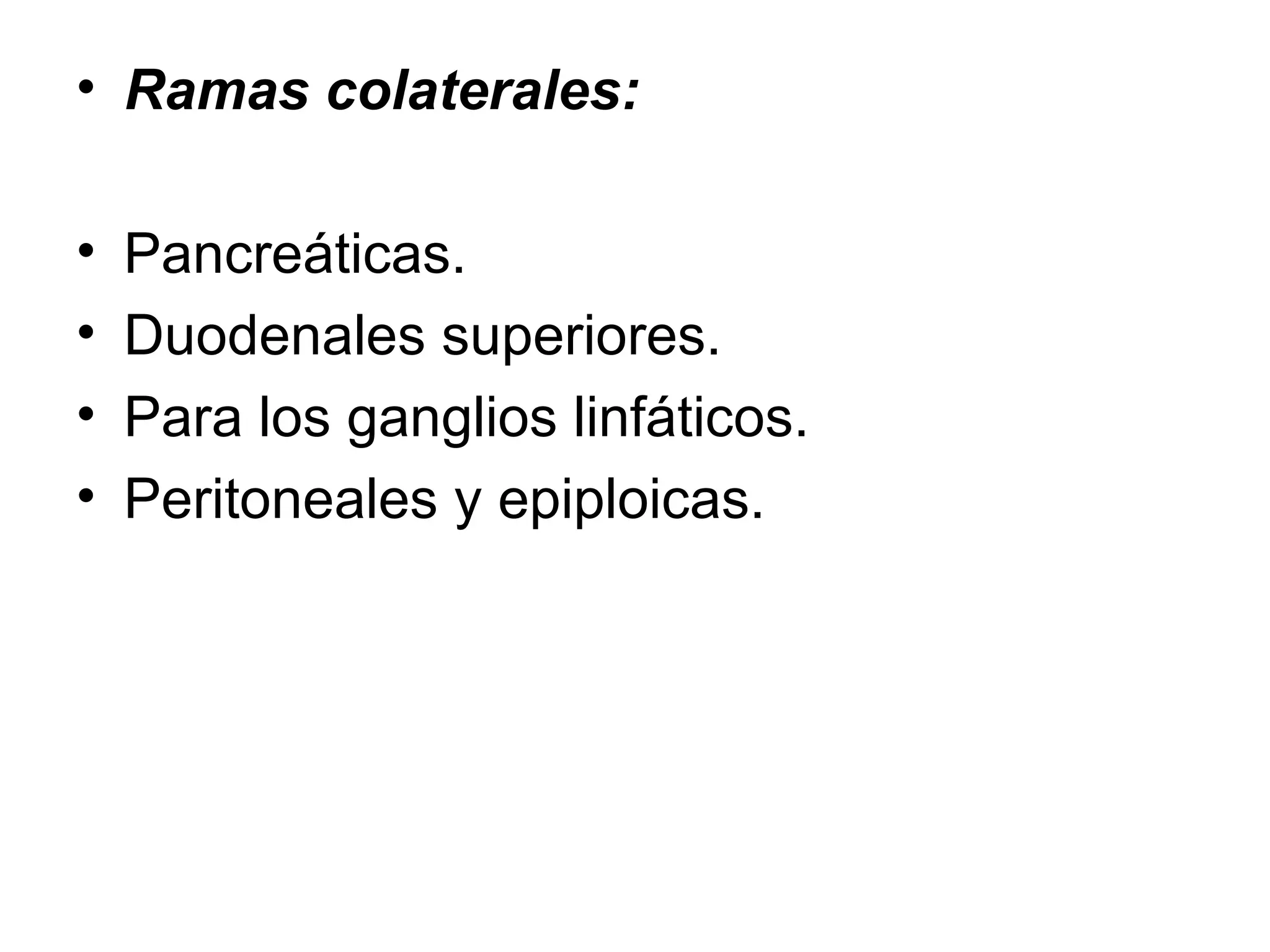 • Ramas colaterales:

•   Pancreáticas.
•   Duodenales superiores.
•   Para los ganglios linfáticos.
•   Peritoneales y epiploicas.
 