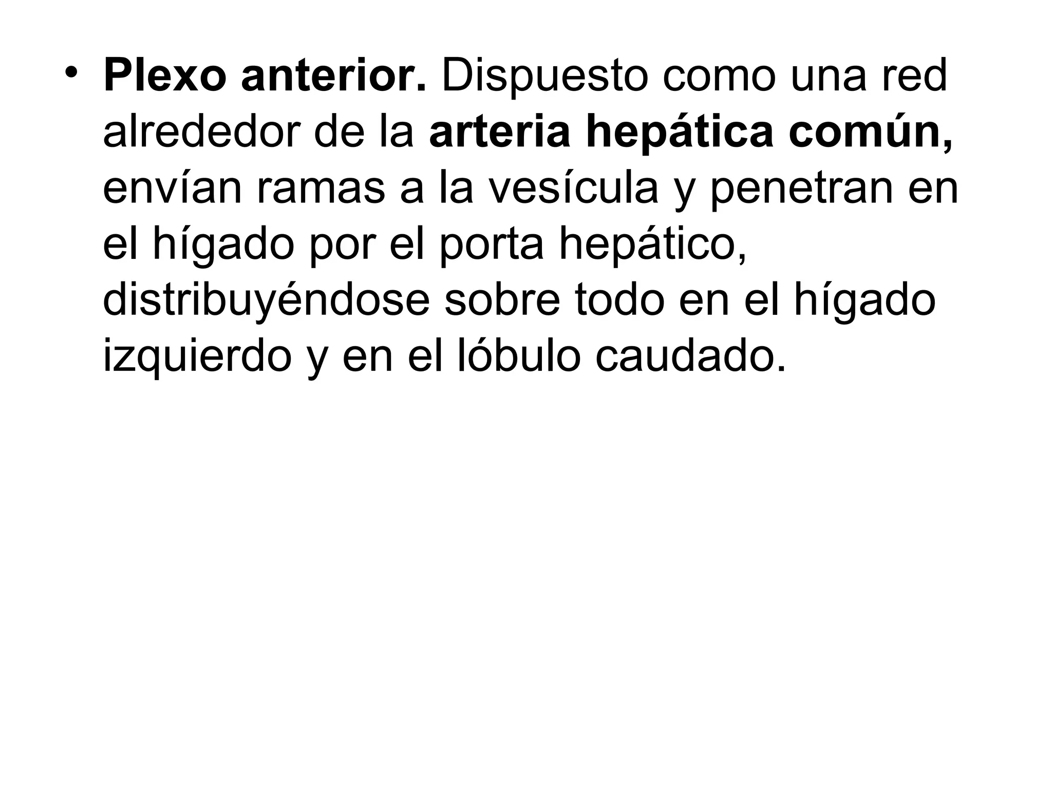 • Plexo anterior. Dispuesto como una red
  alrededor de la arteria hepática común,
  envían ramas a la vesícula y penetran en
  el hígado por el porta hepático,
  distribuyéndose sobre todo en el hígado
  izquierdo y en el lóbulo caudado.
 