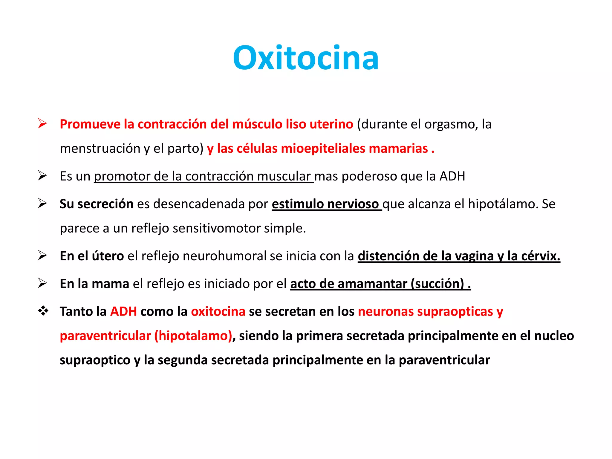 Oxitocina
 Promueve la contracción del músculo liso uterino (durante el orgasmo, la
menstruación y el parto) y las células mioepiteliales mamarias .
 Es un promotor de la contracción muscular mas poderoso que la ADH
 Su secreción es desencadenada por estimulo nervioso que alcanza el hipotálamo. Se
parece a un reflejo sensitivomotor simple.
 En el útero el reflejo neurohumoral se inicia con la distención de la vagina y la cérvix.
 En la mama el reflejo es iniciado por el acto de amamantar (succión) .
 Tanto la ADH como la oxitocina se secretan en los neuronas supraopticas y
paraventricular (hipotalamo), siendo la primera secretada principalmente en el nucleo
supraoptico y la segunda secretada principalmente en la paraventricular

 