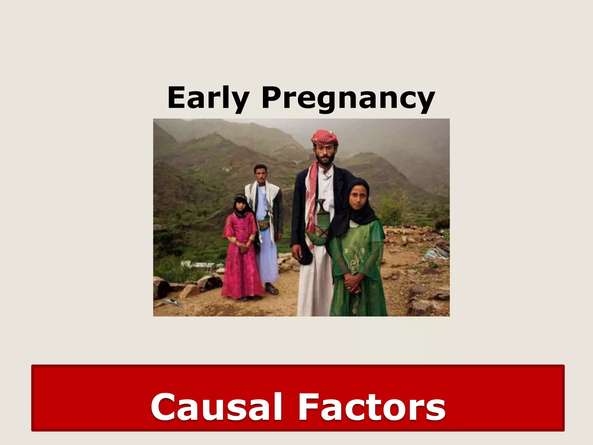 Early Pregnancy

Causal Factors

 