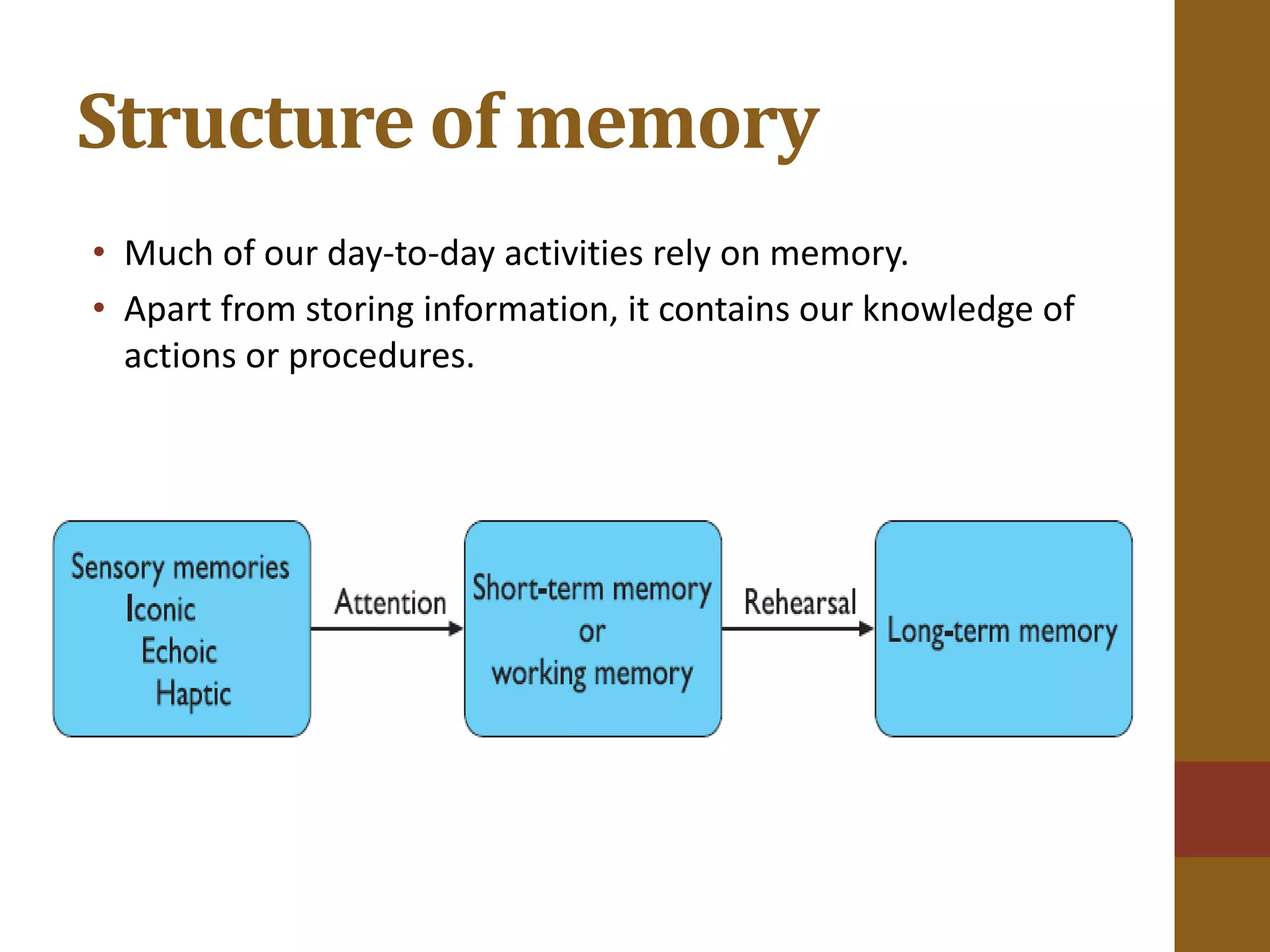 Structure of memory
• Much of our day-to-day activities rely on memory.
• Apart from storing information, it contains our knowledge of
actions or procedures.
 