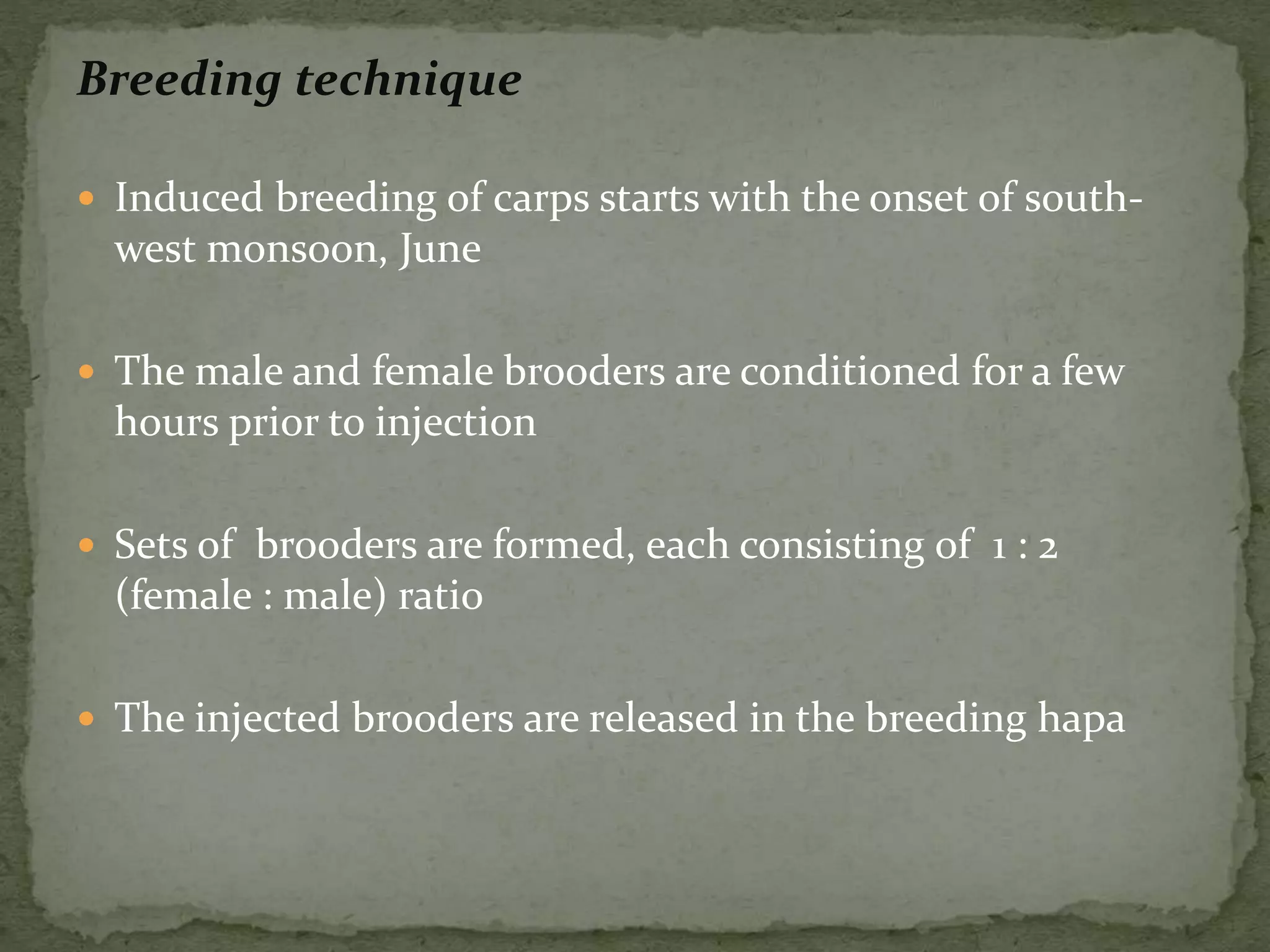 Breeding technique
 Induced breeding of carps starts with the onset of south-
west monsoon, June
 The male and female brooders are conditioned for a few
hours prior to injection
 Sets of brooders are formed, each consisting of 1 : 2
(female : male) ratio
 The injected brooders are released in the breeding hapa
 