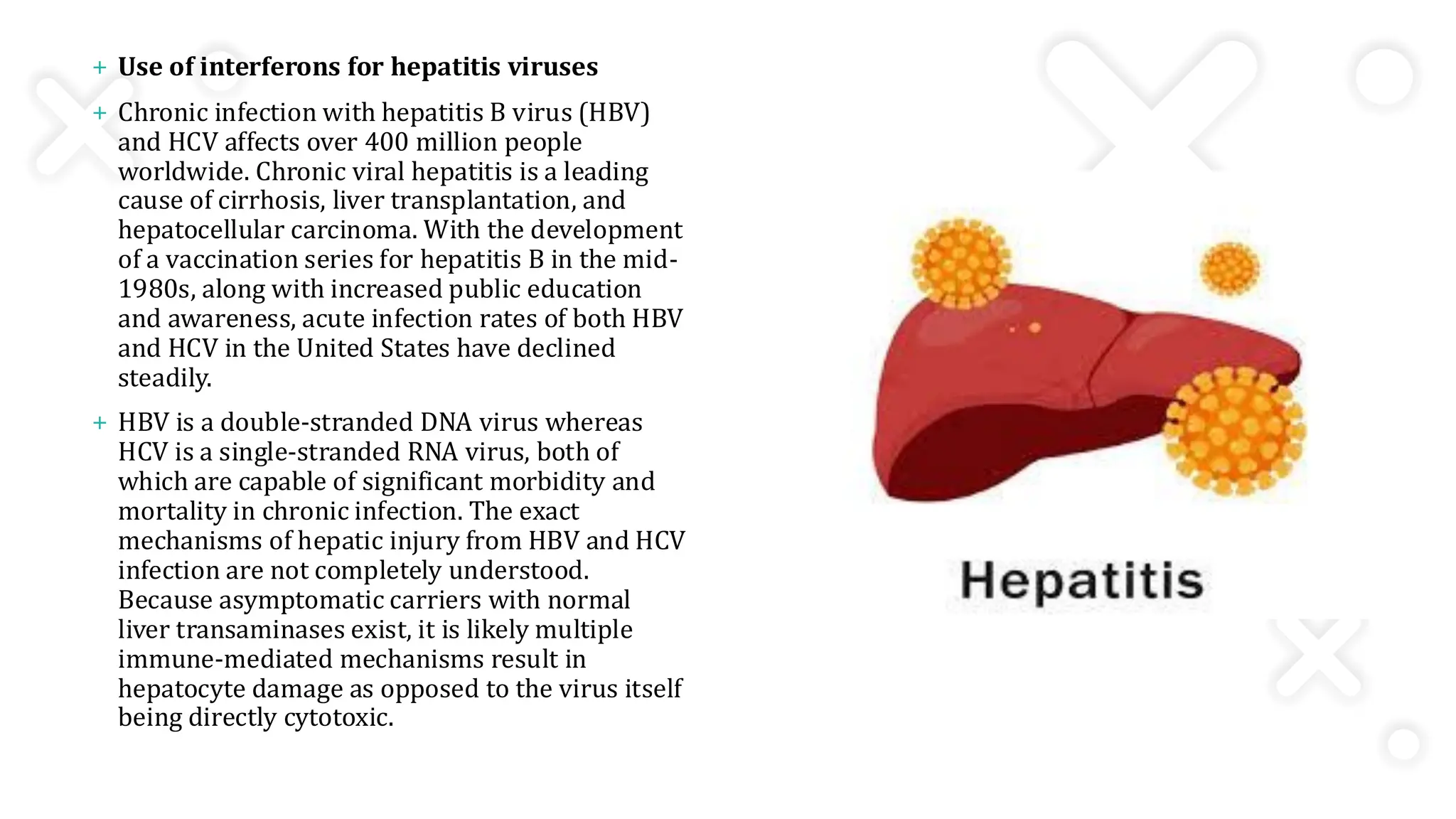 + Use of interferons for hepatitis viruses
+ Chronic infection with hepatitis B virus (HBV)
and HCV affects over 400 million people
worldwide. Chronic viral hepatitis is a leading
cause of cirrhosis, liver transplantation, and
hepatocellular carcinoma. With the development
of a vaccination series for hepatitis B in the mid-
1980s, along with increased public education
and awareness, acute infection rates of both HBV
and HCV in the United States have declined
steadily.
+ HBV is a double-stranded DNA virus whereas
HCV is a single-stranded RNA virus, both of
which are capable of significant morbidity and
mortality in chronic infection. The exact
mechanisms of hepatic injury from HBV and HCV
infection are not completely understood.
Because asymptomatic carriers with normal
liver transaminases exist, it is likely multiple
immune-mediated mechanisms result in
hepatocyte damage as opposed to the virus itself
being directly cytotoxic.
 