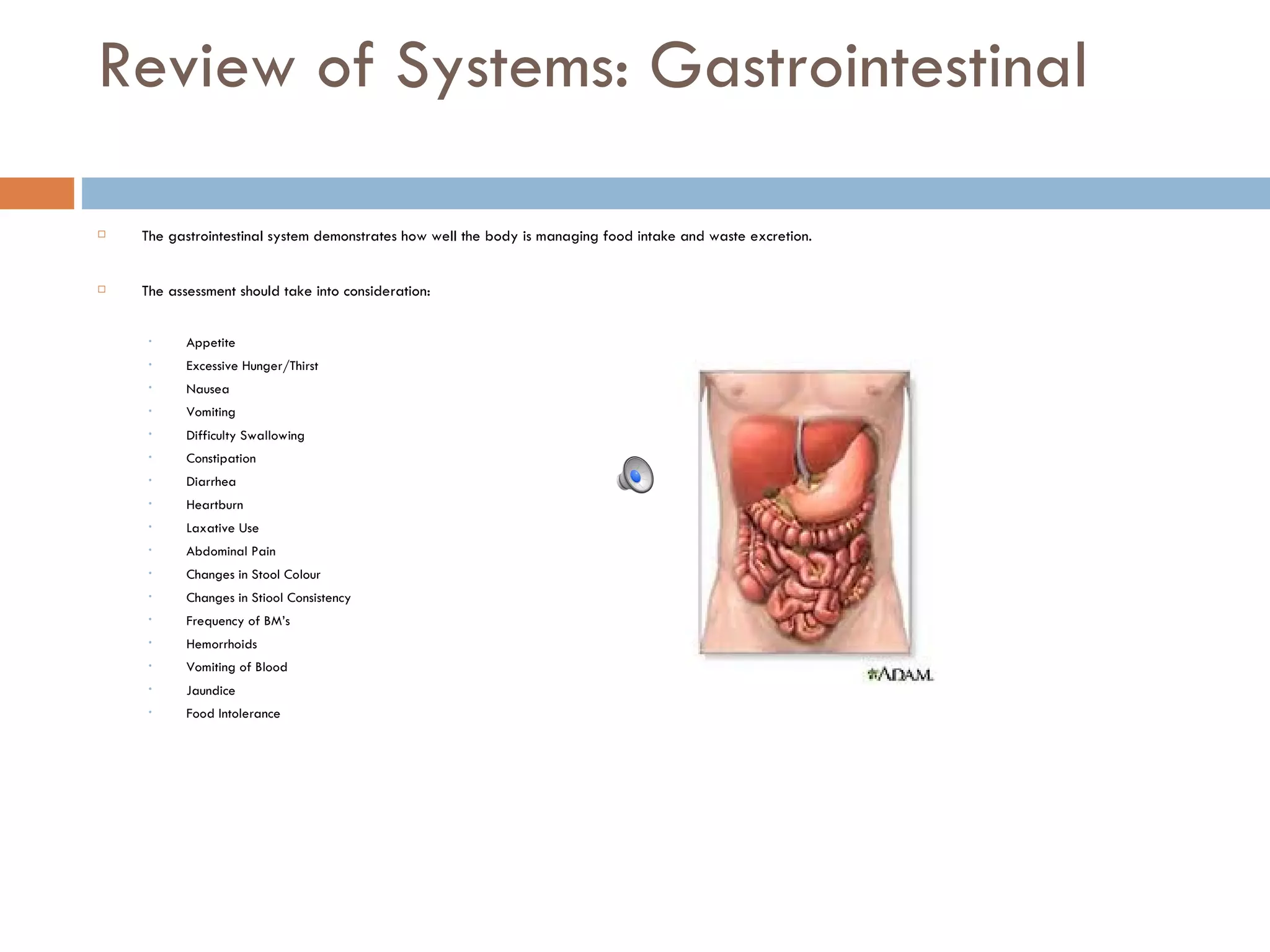 Review of Systems: Gastrointestinal The gastrointestinal system demonstrates how well the body is managing food intake and waste excretion. The assessment should take into consideration: Appetite Excessive Hunger/Thirst Nausea Vomiting Difficulty Swallowing Constipation Diarrhea Heartburn Laxative Use Abdominal Pain Changes in Stool Colour Changes in Stiool Consistency Frequency of BM’s Hemorrhoids Vomiting of Blood Jaundice Food Intolerance 