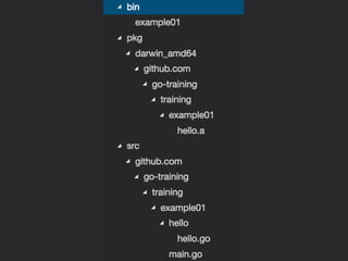 Introduction to Golang final 