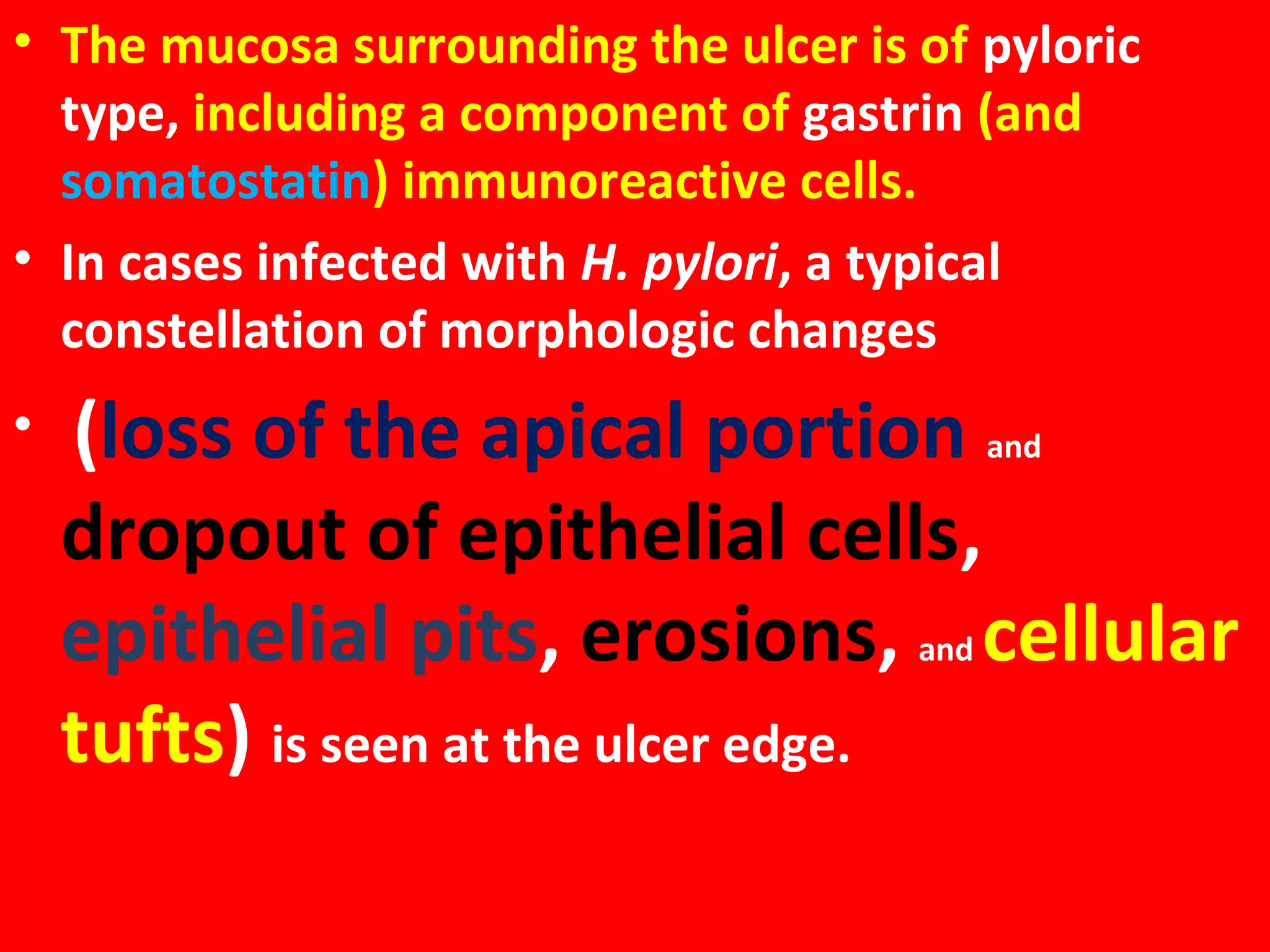 • The mucosa surrounding the ulcer is of pyloric
type, including a component of gastrin (and
somatostatin) immunoreactive cells.
• In cases infected with H. pylori, a typical
constellation of morphologic changes
•

(loss of the apical portion and
dropout of epithelial cells,
epithelial pits, erosions, and cellular
tufts) is seen at the ulcer edge.

 