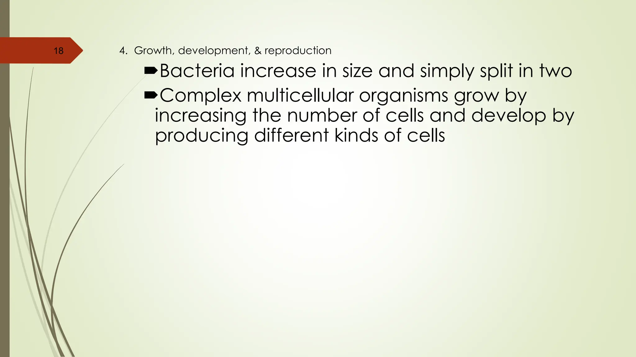 4. Growth, development, & reproduction
Bacteria increase in size and simply split in two
Complex multicellular organisms grow by
increasing the number of cells and develop by
producing different kinds of cells
18
 