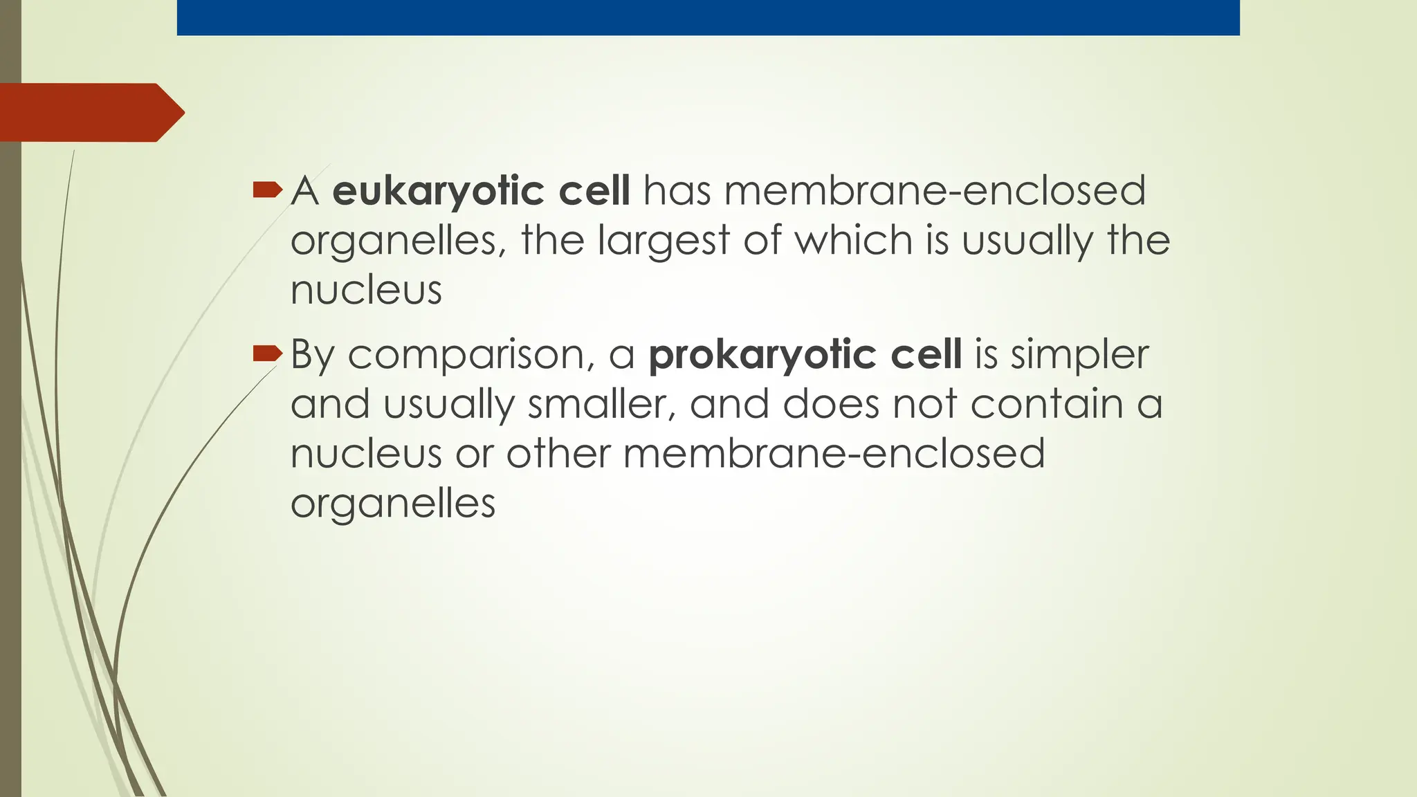 A eukaryotic cell has membrane-enclosed
organelles, the largest of which is usually the
nucleus
By comparison, a prokaryotic cell is simpler
and usually smaller, and does not contain a
nucleus or other membrane-enclosed
organelles
 
