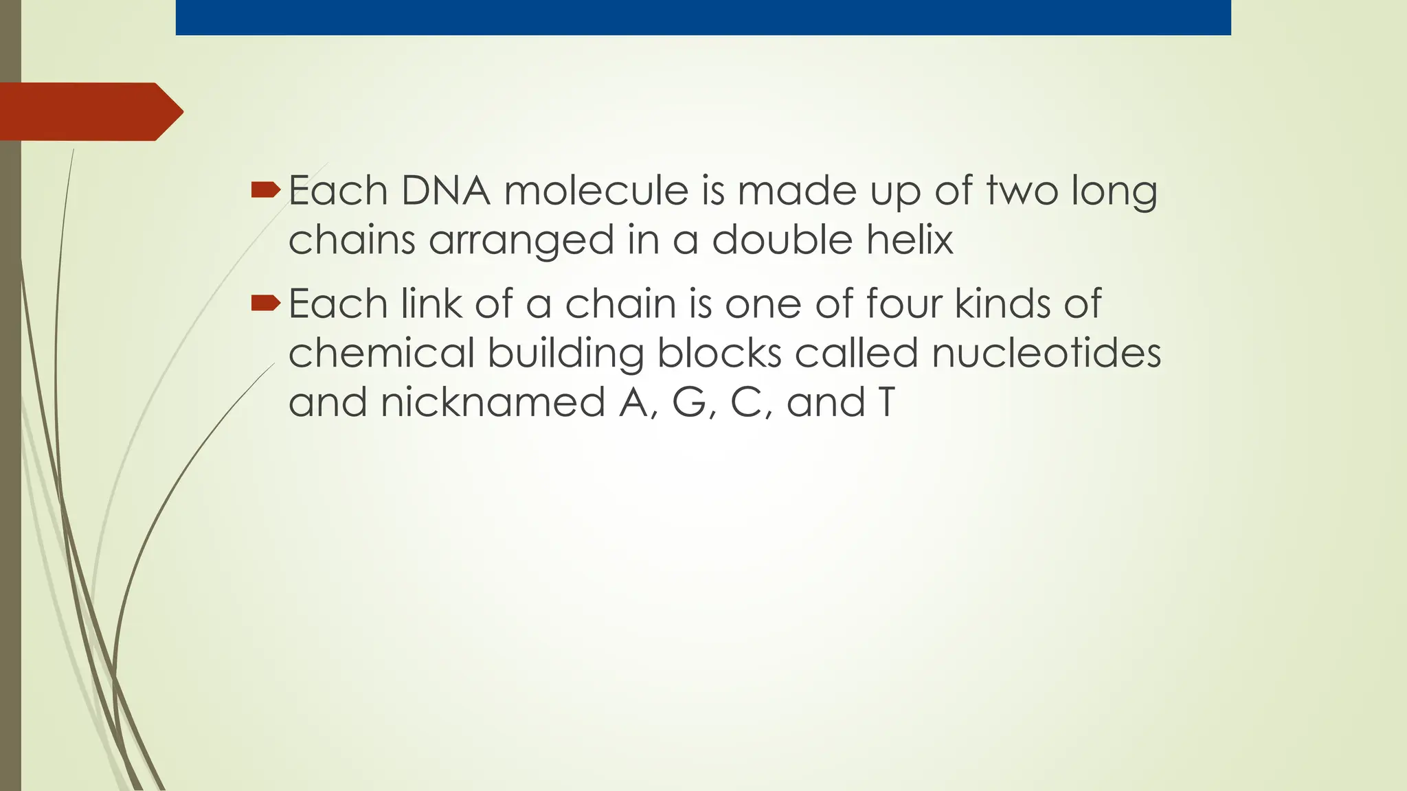 Each DNA molecule is made up of two long
chains arranged in a double helix
Each link of a chain is one of four kinds of
chemical building blocks called nucleotides
and nicknamed A, G, C, and T
 
