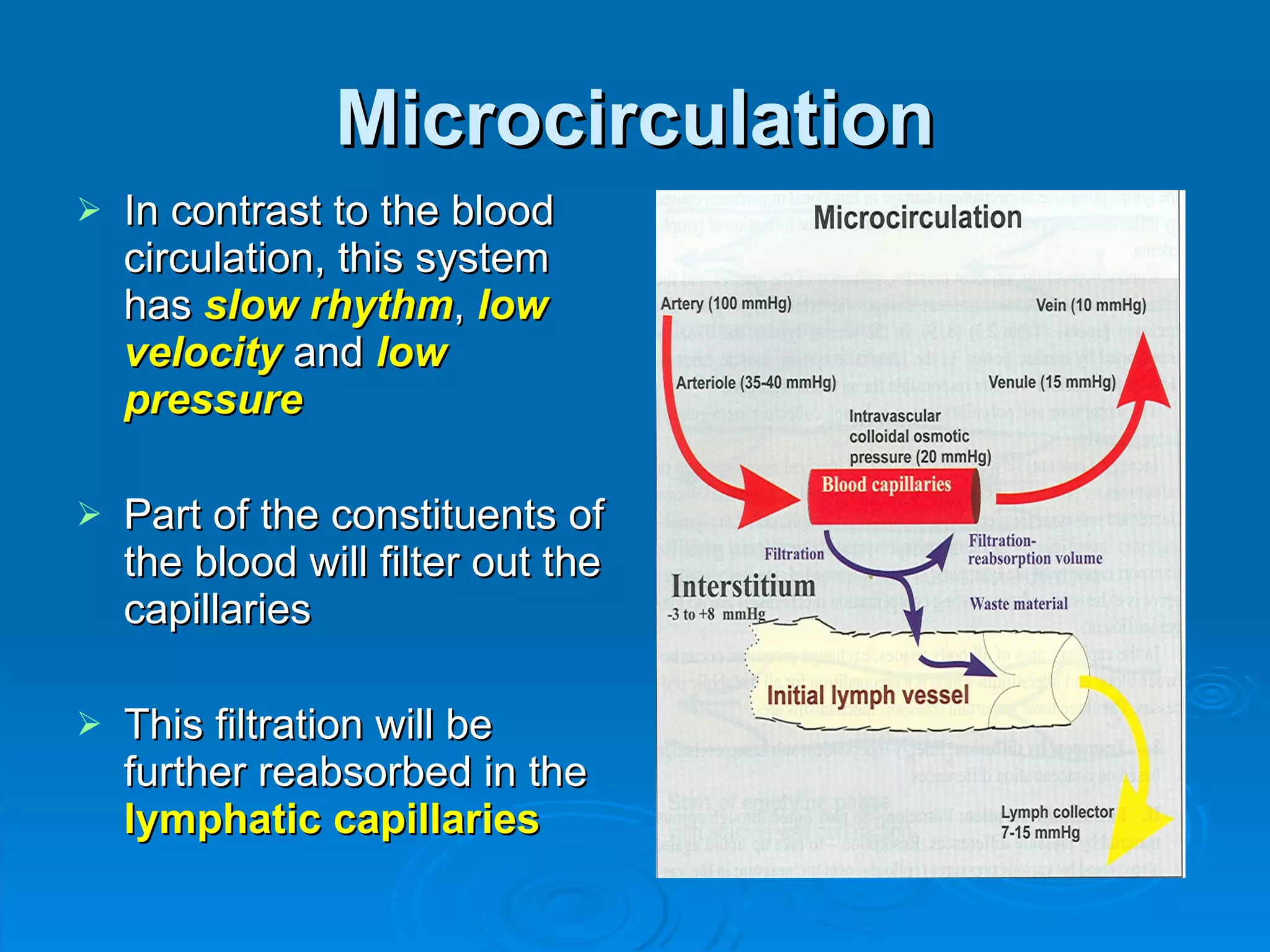 Microcirculation In contrast to the blood circulation, this system has  slow rhythm ,  low velocity  and  low pressure Part of the constituents of the blood will filter out the capillaries  This filtration will be further reabsorbed in the  lymphatic capillaries 