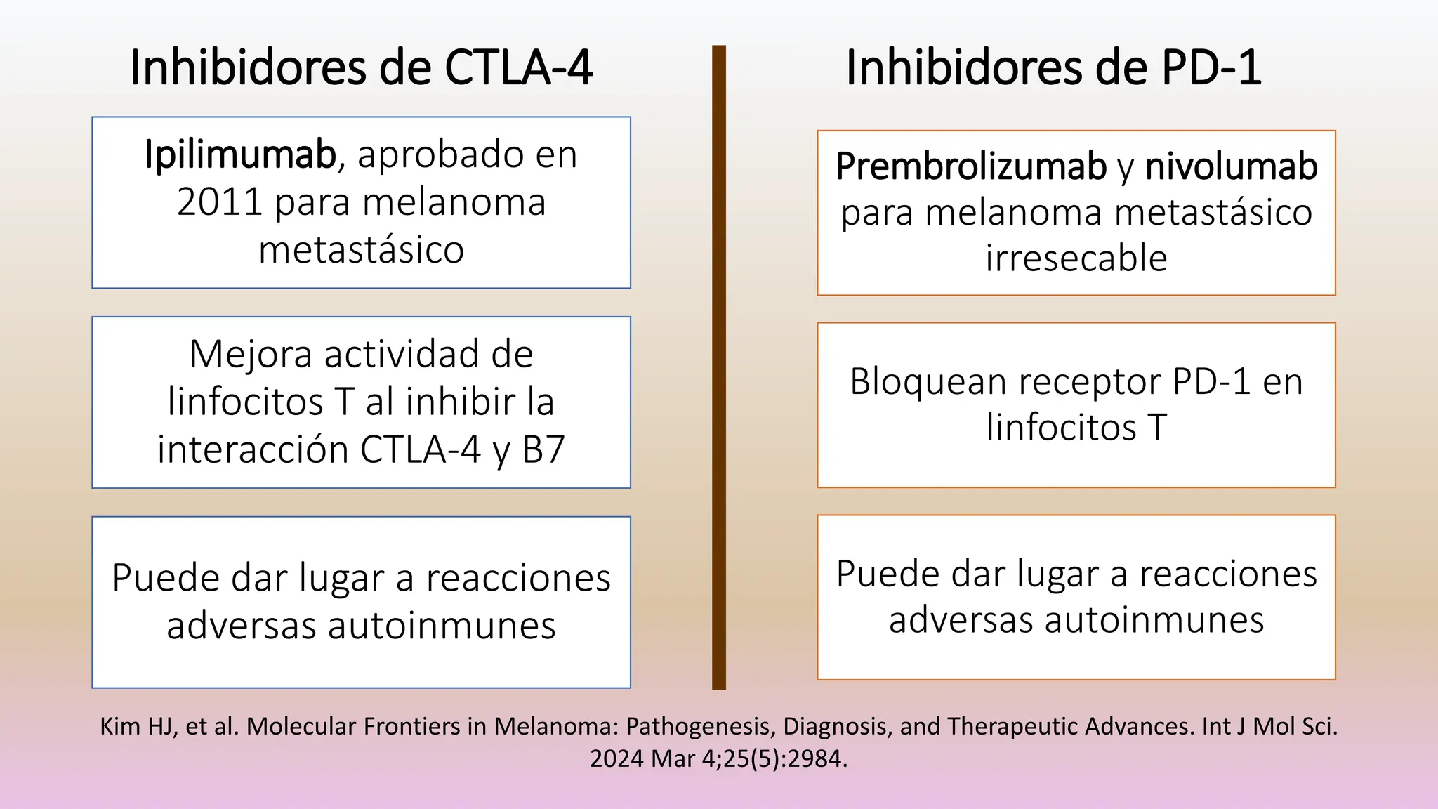 Kim HJ, et al. Molecular Frontiers in Melanoma: Pathogenesis, Diagnosis, and Therapeutic Advances. Int J Mol Sci.
2024 Mar 4;25(5):2984.
Ipilimumab, aprobado en
2011 para melanoma
metastásico
Mejora actividad de
linfocitos T al inhibir la
interacción CTLA-4 y B7
Puede dar lugar a reacciones
adversas autoinmunes
Prembrolizumab y nivolumab
para melanoma metastásico
irresecable
Bloquean receptor PD-1 en
linfocitos T
Puede dar lugar a reacciones
adversas autoinmunes
Inhibidores de CTLA-4 Inhibidores de PD-1
 