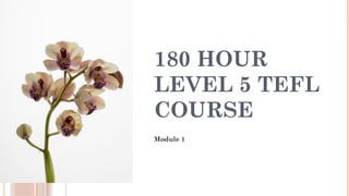 180 HOUR
LEVEL 5 TEFL
COURSE
Module 1
 