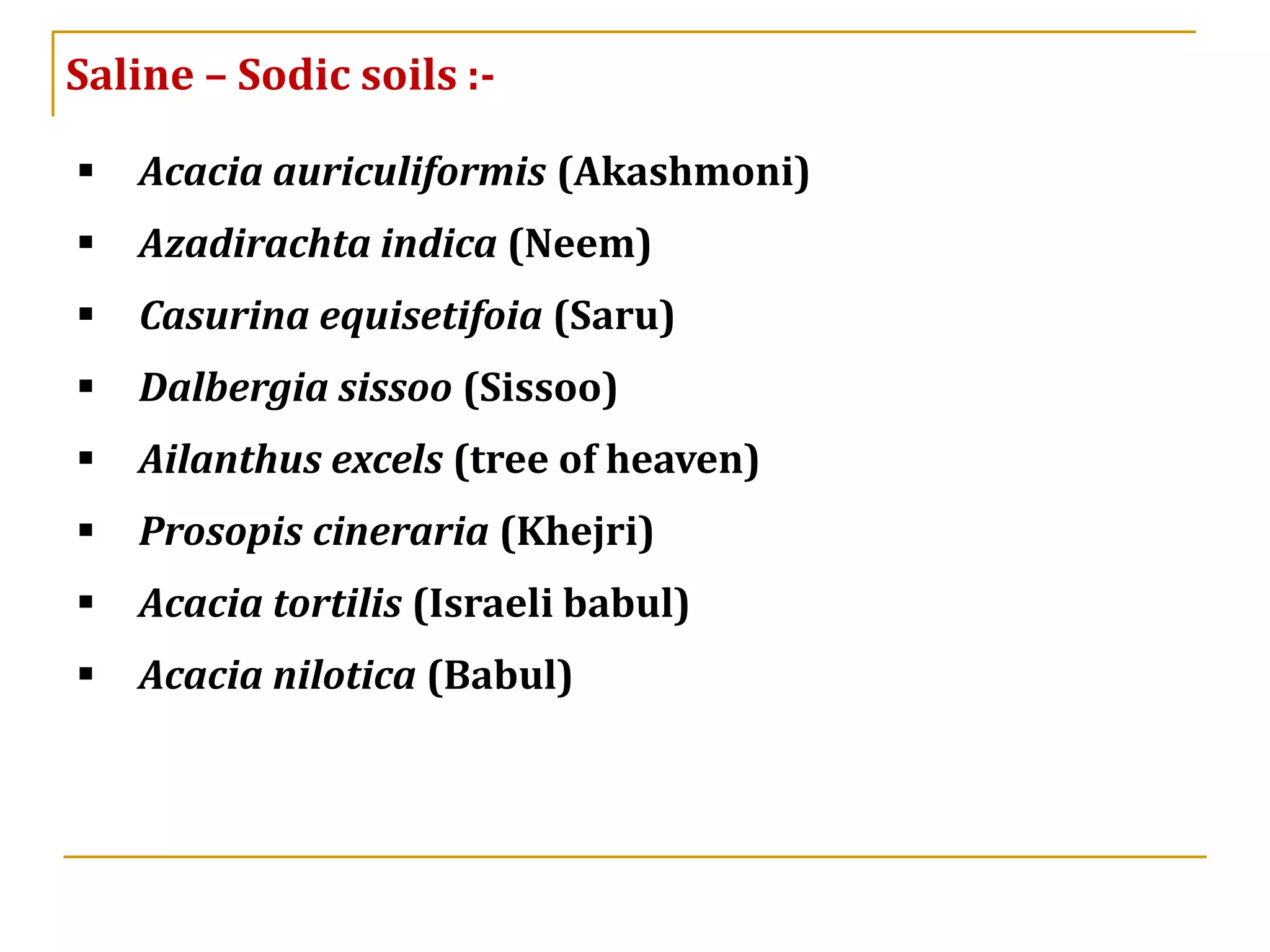 ▪ Acacia auriculiformis (Akashmoni)
▪ Azadirachta indica (Neem)
▪ Casurina equisetifoia (Saru)
▪ Dalbergia sissoo (Sissoo)
▪ Ailanthus excels (tree of heaven)
▪ Prosopis cineraria (Khejri)
▪ Acacia tortilis (Israeli babul)
▪ Acacia nilotica (Babul)
Saline – Sodic soils :-
 