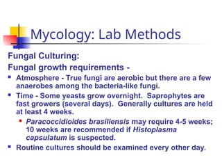 Mycology: Lab Methods
Fungal Culturing:
Fungal growth requirements -
 Atmosphere - True fungi are aerobic but there are a few
anaerobes among the bacteria-like fungi.
 Time - Some yeasts grow overnight. Saprophytes are
fast growers (several days). Generally cultures are held
at least 4 weeks.
 Paracoccidioides brasiliensis may require 4-5 weeks;
10 weeks are recommended if Histoplasma
capsulatum is suspected.
 Routine cultures should be examined every other day.
 