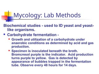 Mycology: Lab Methods
Biochemical studies - used to ID yeast and yeast-
like organisms.
 Carbohydrate fermentation -
 Growth and utilization of a carbohydrate under
anaerobic conditions as determined by acid and gas
production.
 Specimen is inoculated beneath the broth.
Bromcresol purple is the indicator. Acid production
turns purple to yellow. Gas is detected by
appearance of bubbles trapped in the fermentation
tube. Observe every 48 hours for 14 days.
 