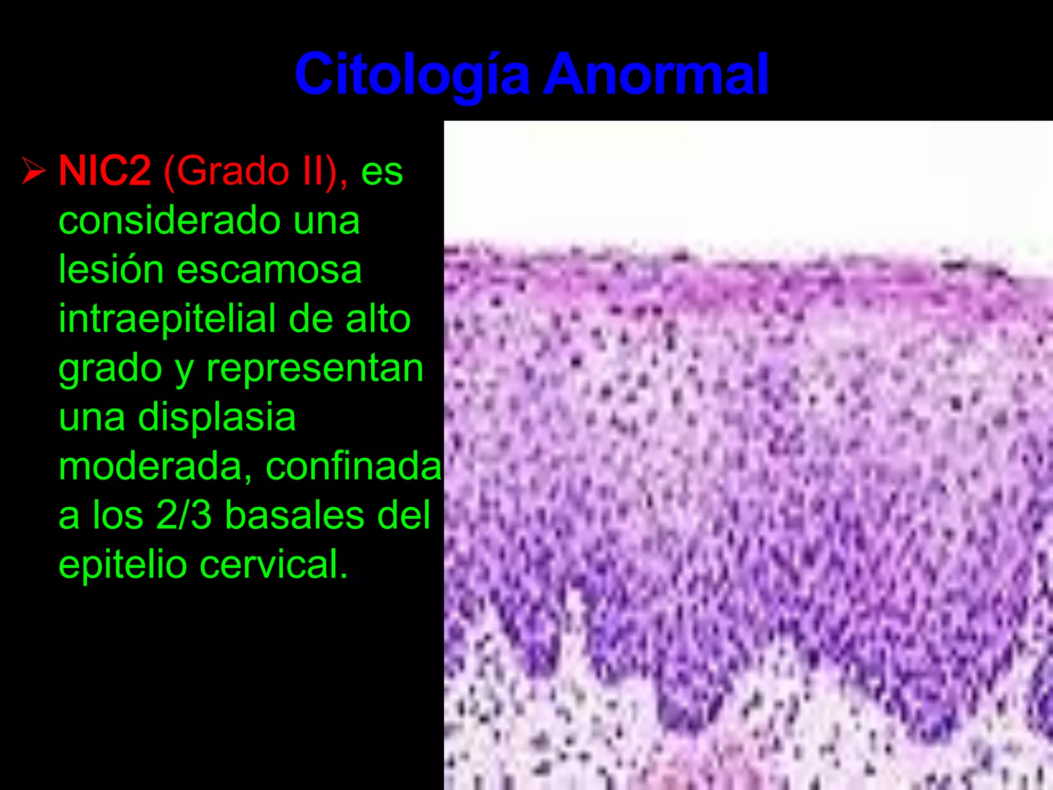 Las verrugas que crecen alrededor del ano y de la vulva, cuando se dejan sin tratamiento pueden crecer rápidamente, adquiriendo una apariencia como de "coliflor".