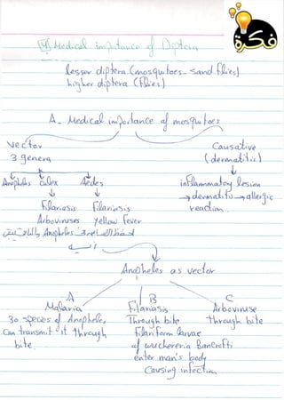 Para   mod 8 - part 2 - fekra team