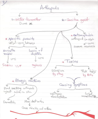 Para   mod 8 - part 2 - fekra team
