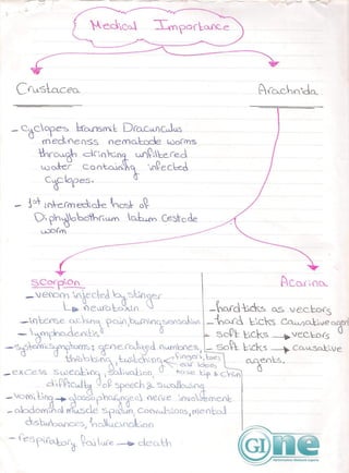 Para   mod 8 - part 2 - fekra team