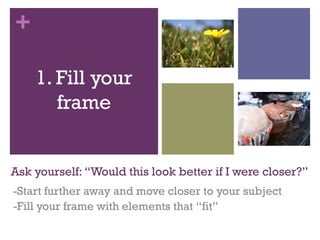 +
1. Fill your
frame
Ask yourself: “Would this look better if I were closer?”
-Start further away and move closer to your subject
-Fill your frame with elements that “fit”

 
