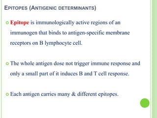 EPITOPES (ANTIGENIC DETERMINANTS)
 Epitope is immunologically active regions of an
immunogen that binds to antigen-specific membrane
receptors on B lymphocyte cell.
 The whole antigen dose not trigger immune response and
only a small part of it induces B and T cell response.
 Each antigen carries many & different epitopes.
 